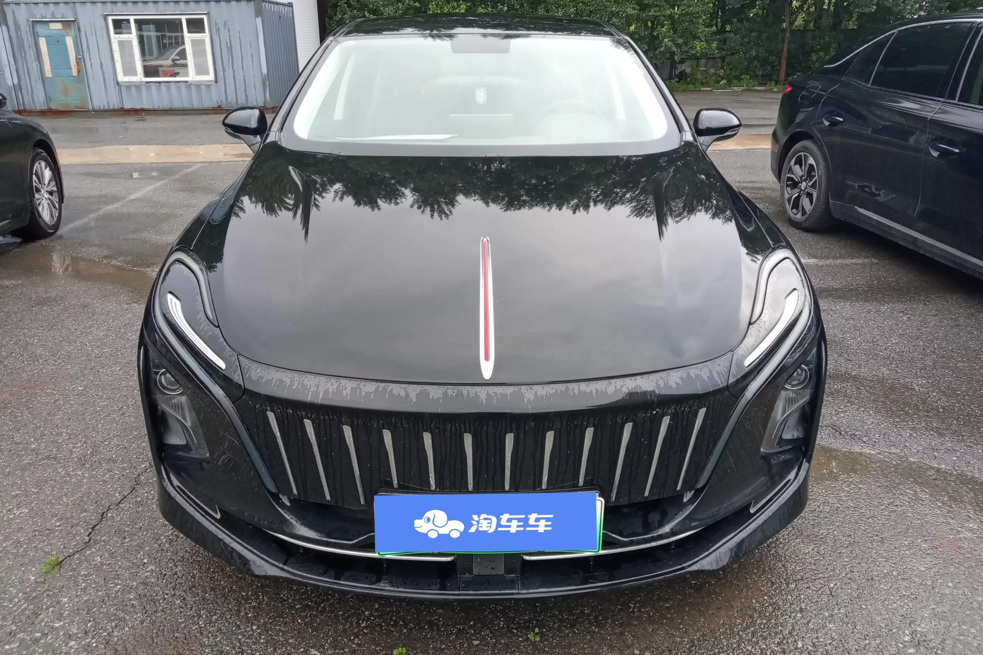Hongqi E-QM5