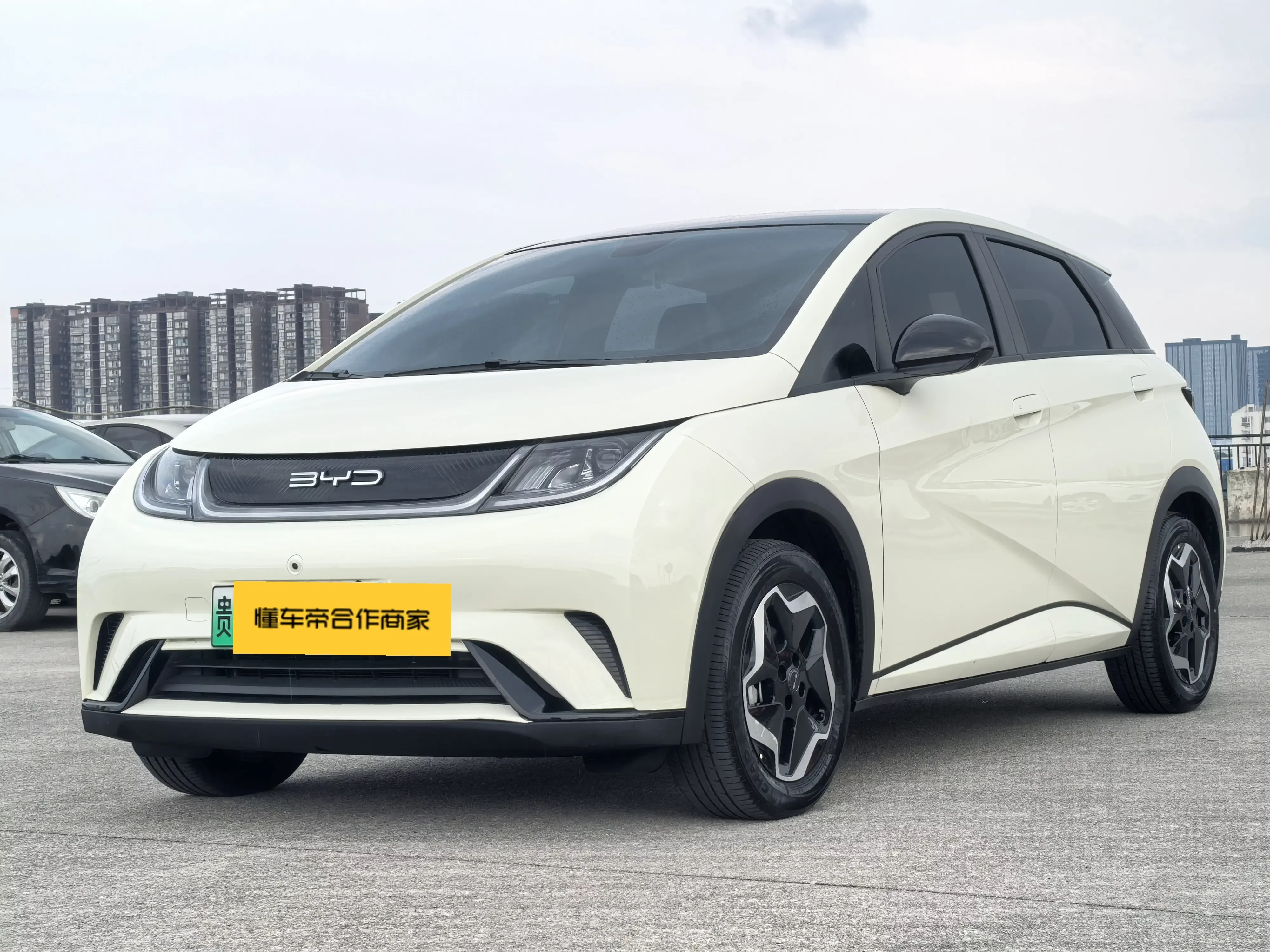 BYD dolphin