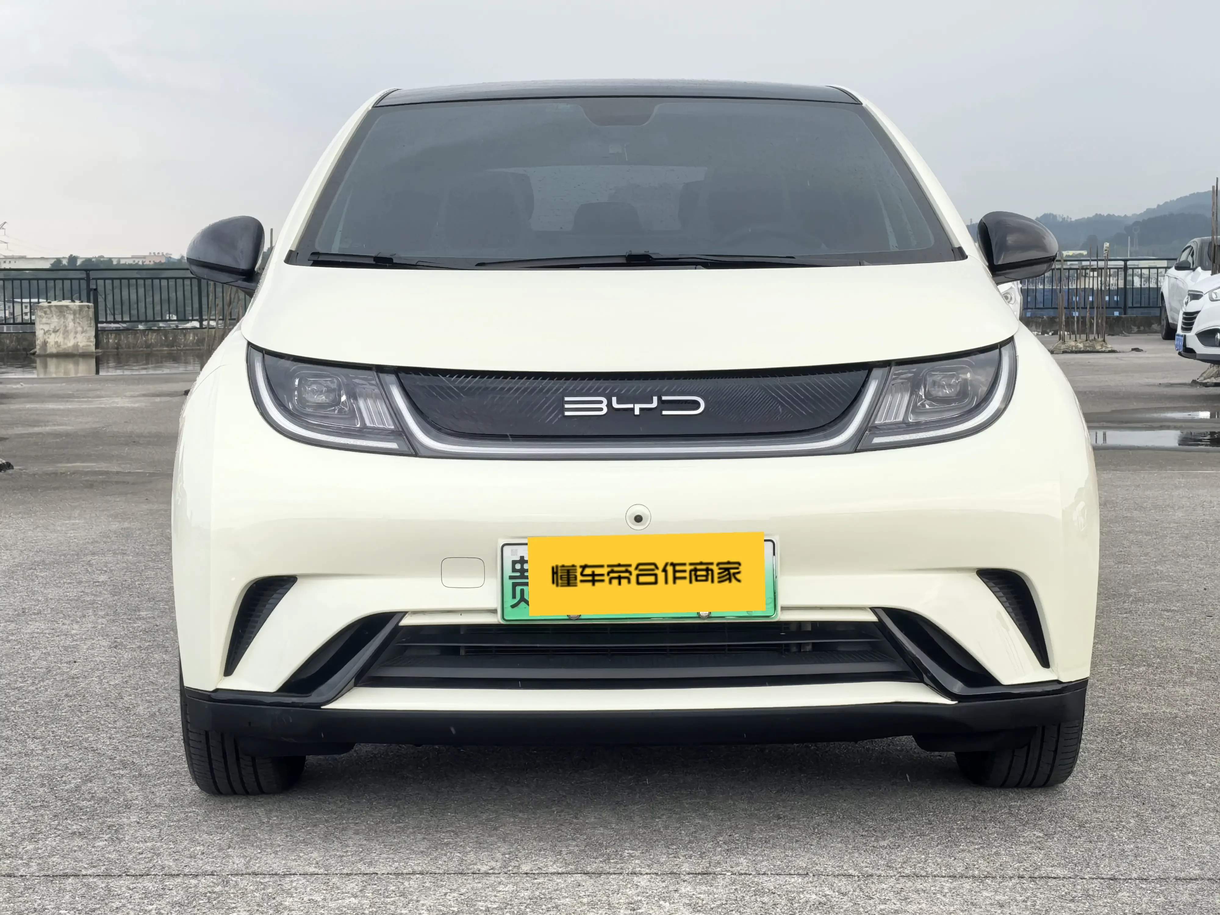 BYD dolphin