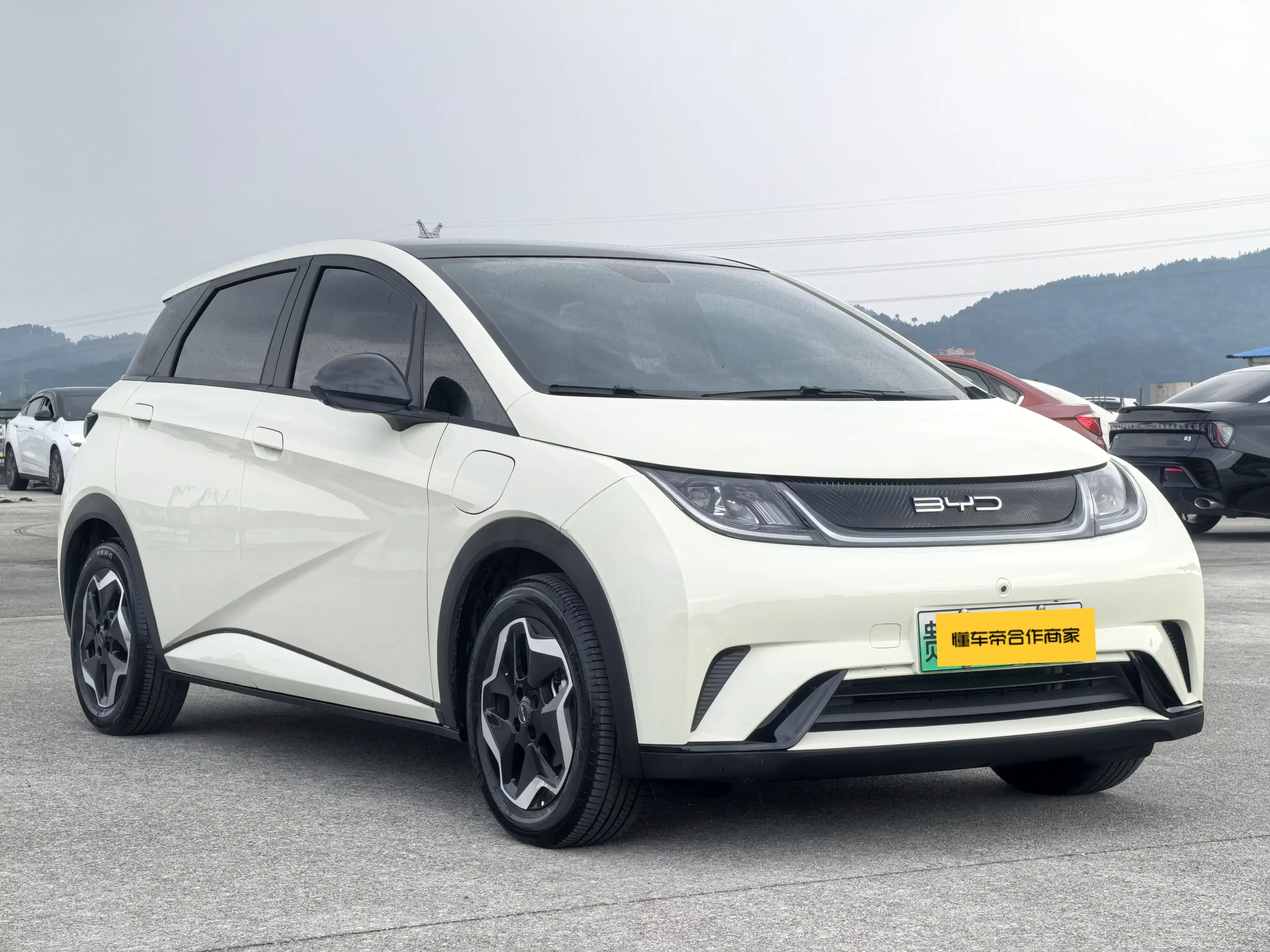 BYD dolphin