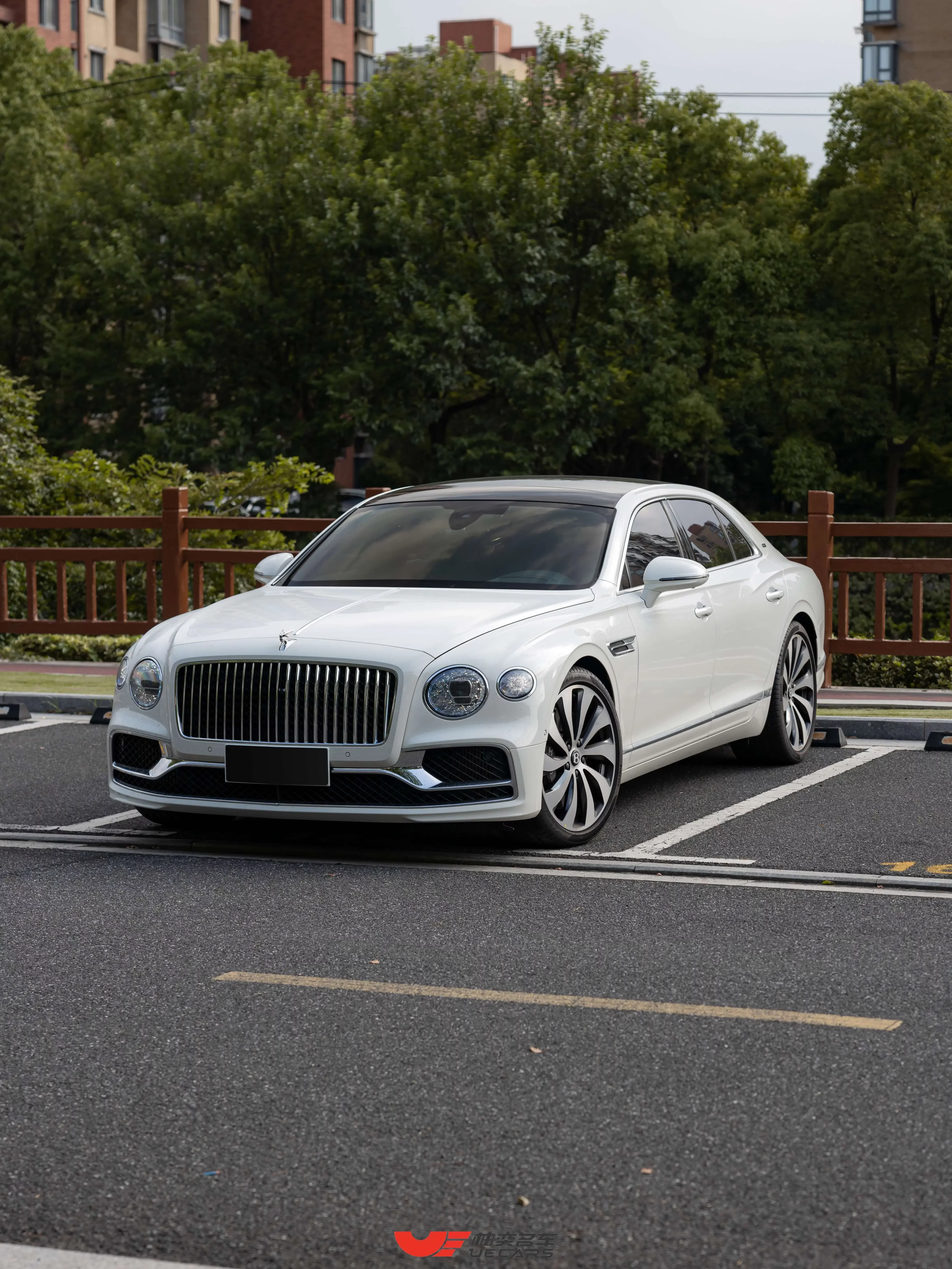 Bentley galloping