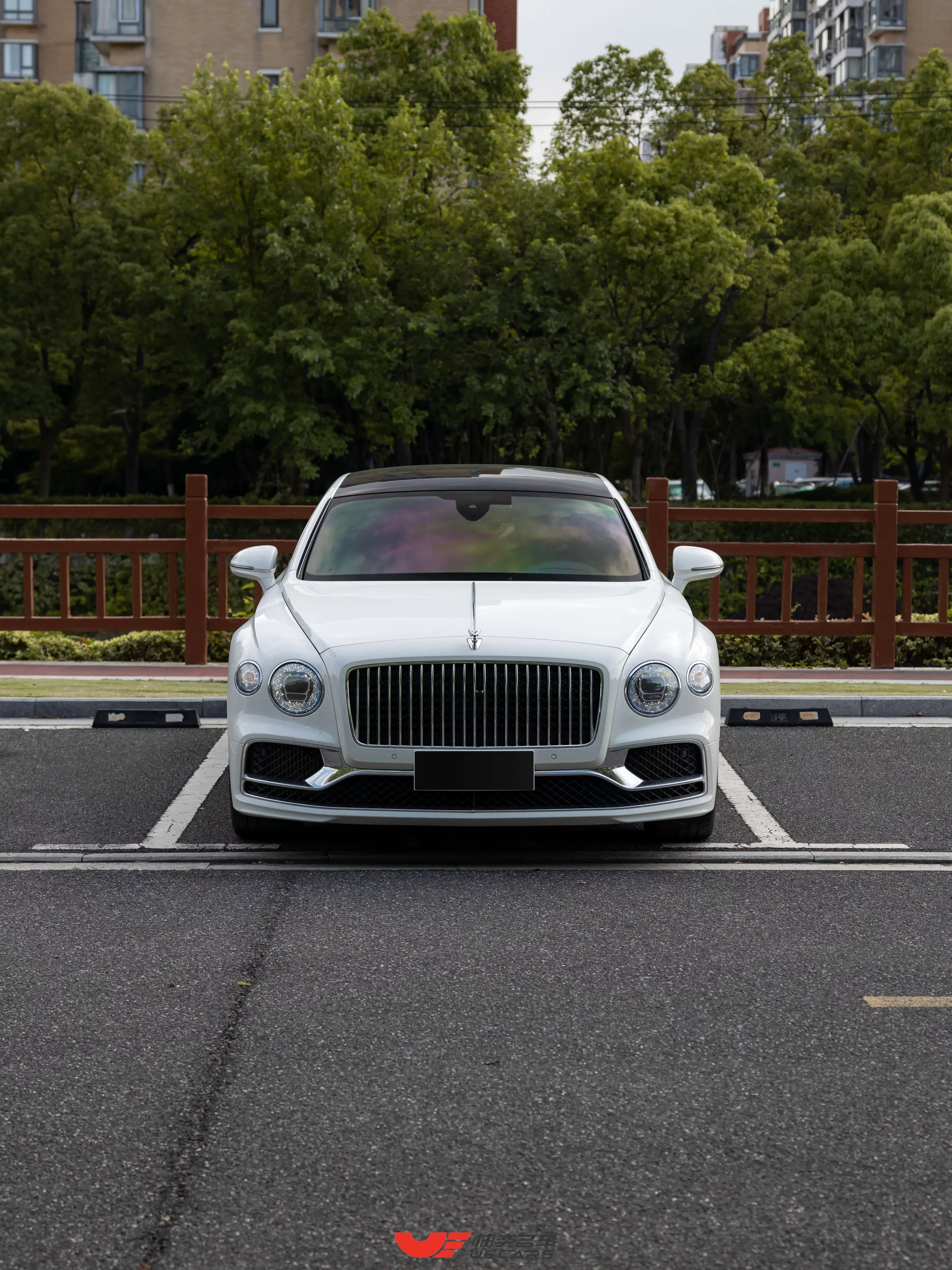 Bentley galloping