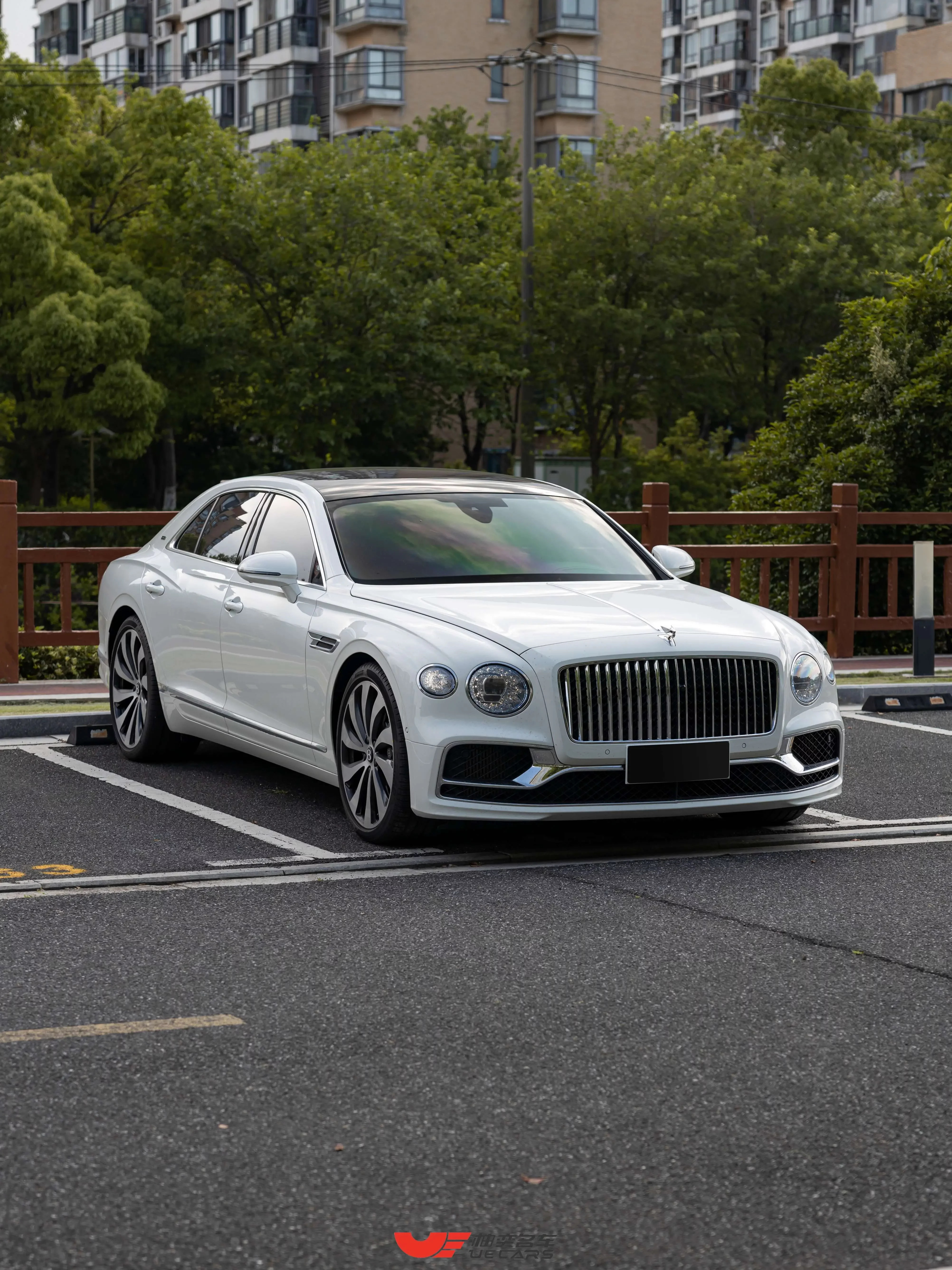 Bentley galloping