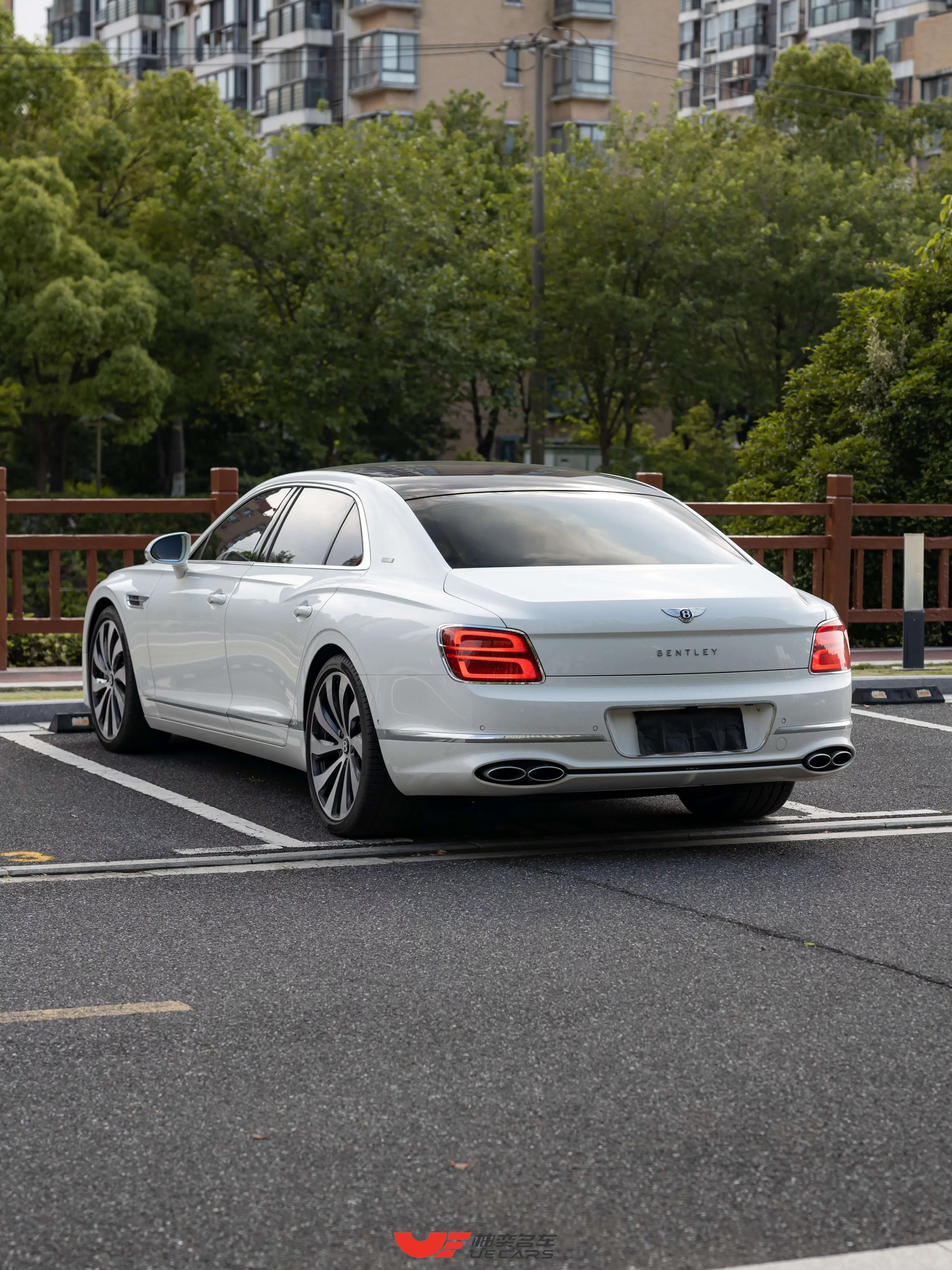 Bentley galloping