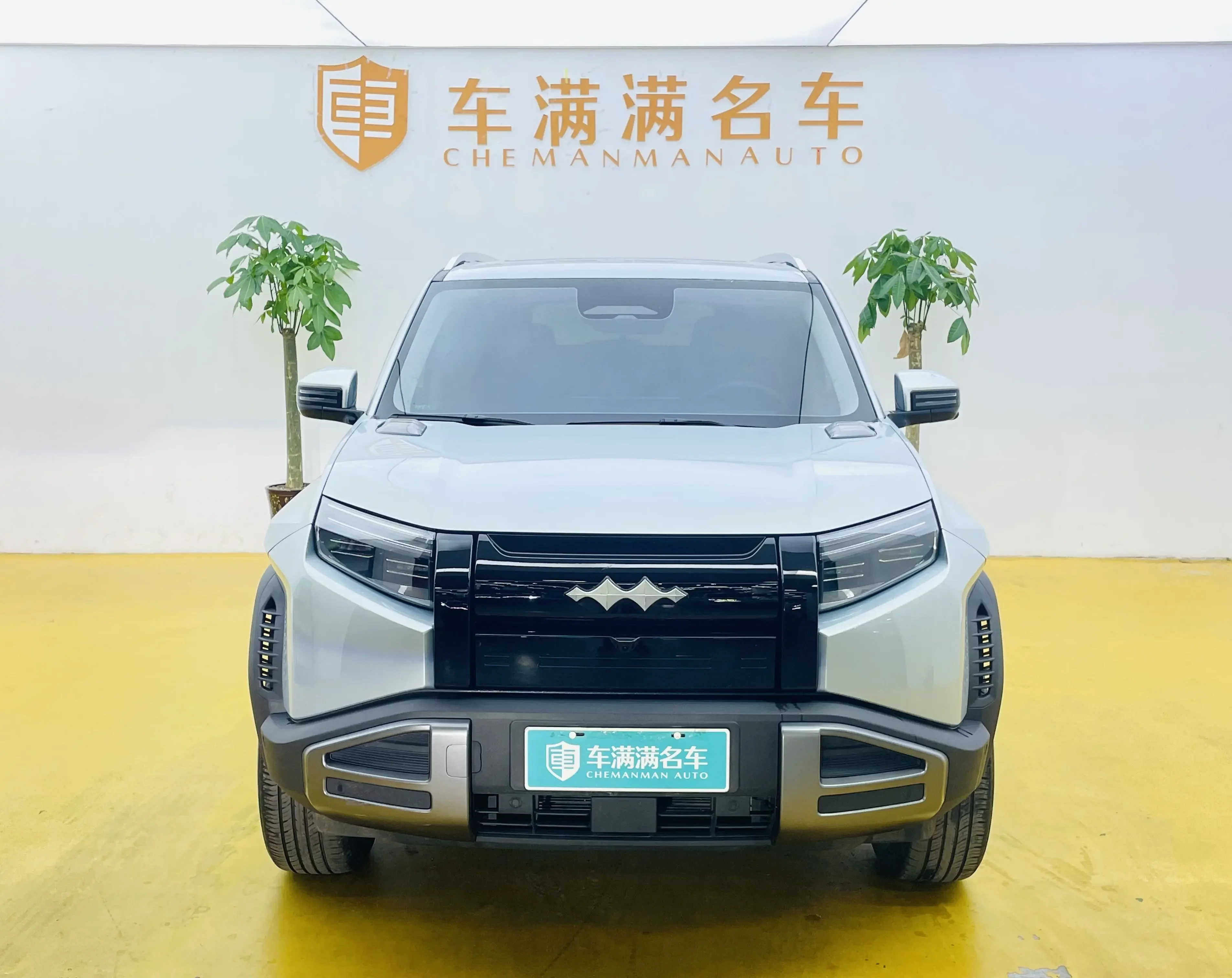 BYD Leopard Titanium 3