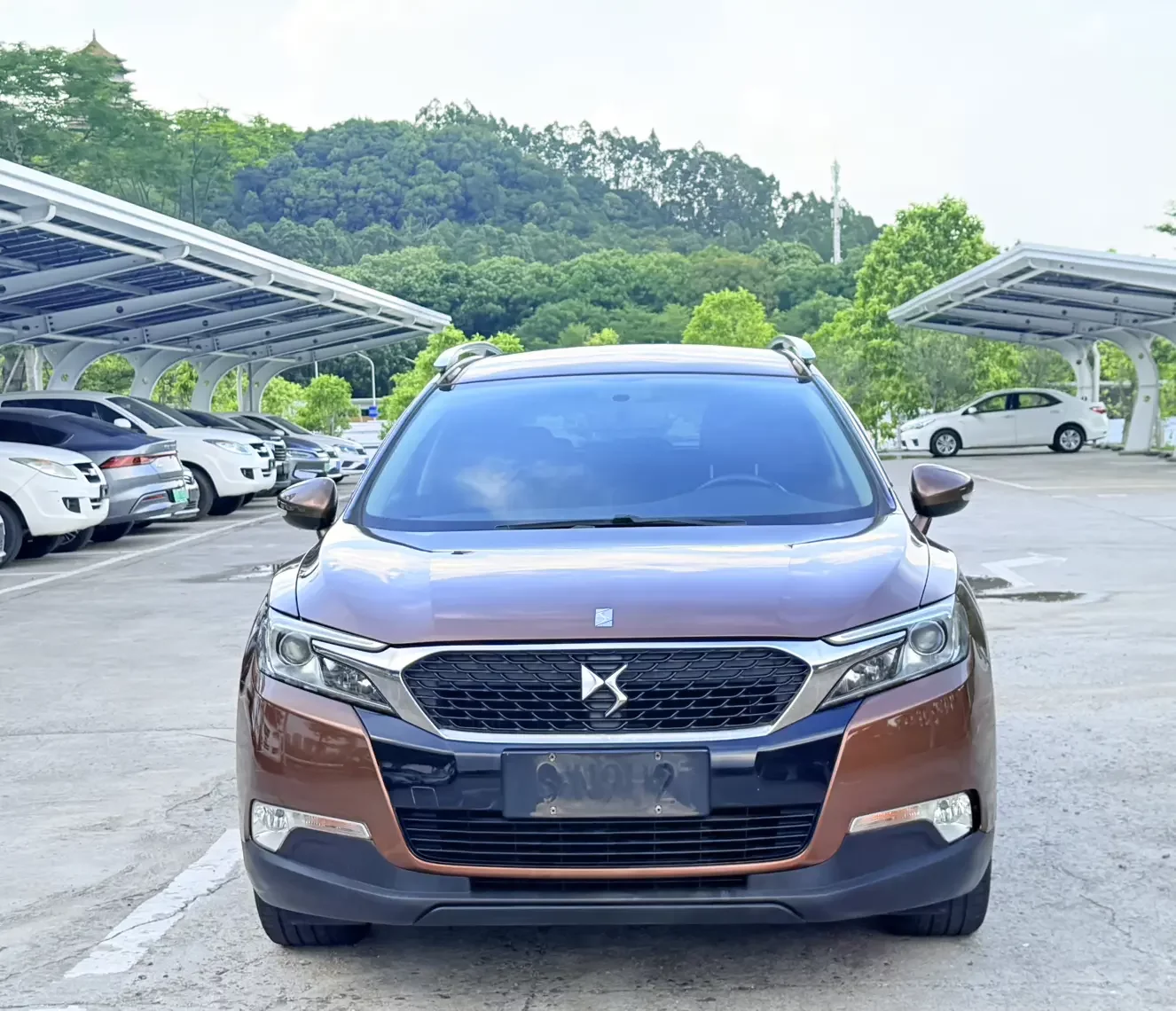 DS 6