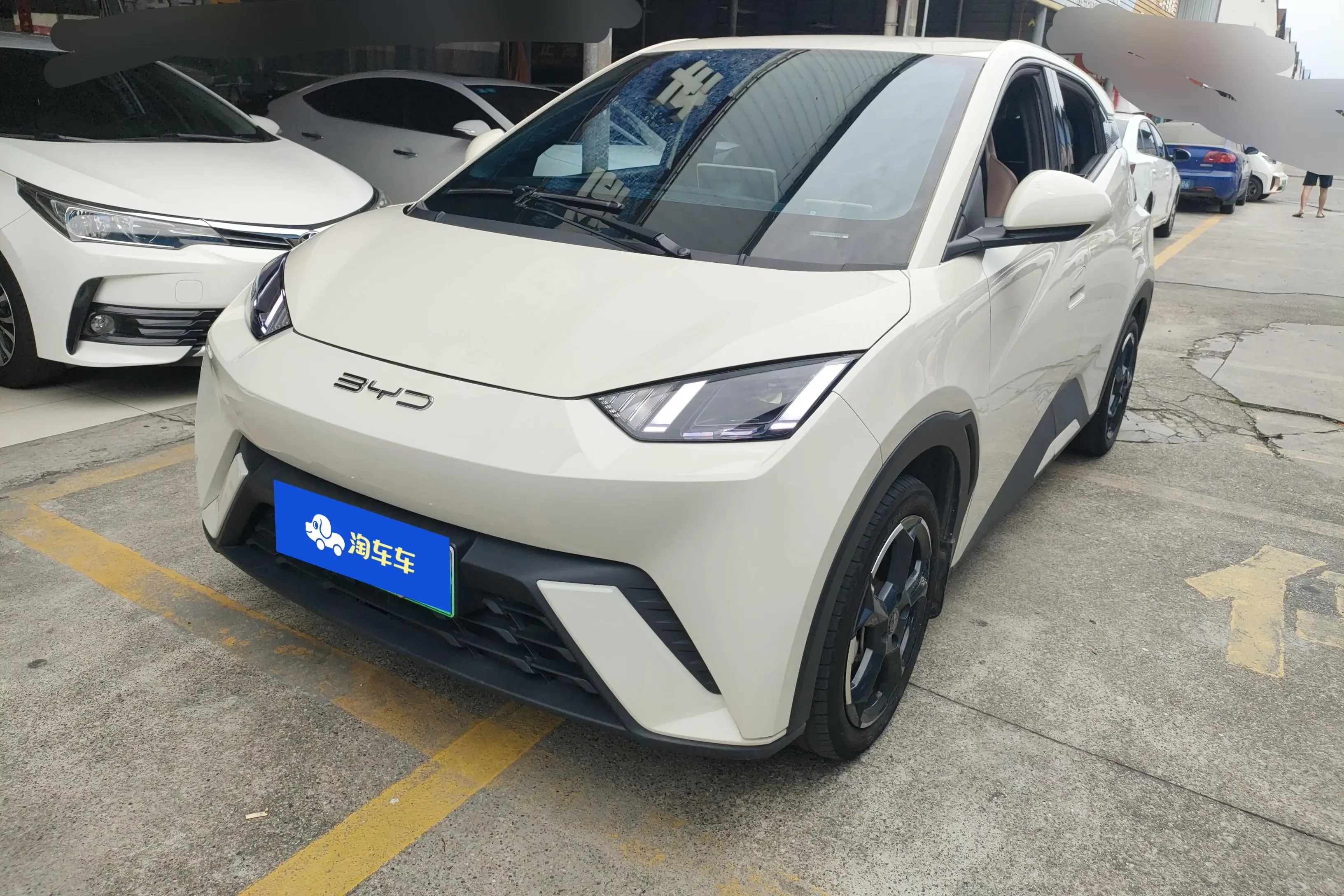 BYD seagull