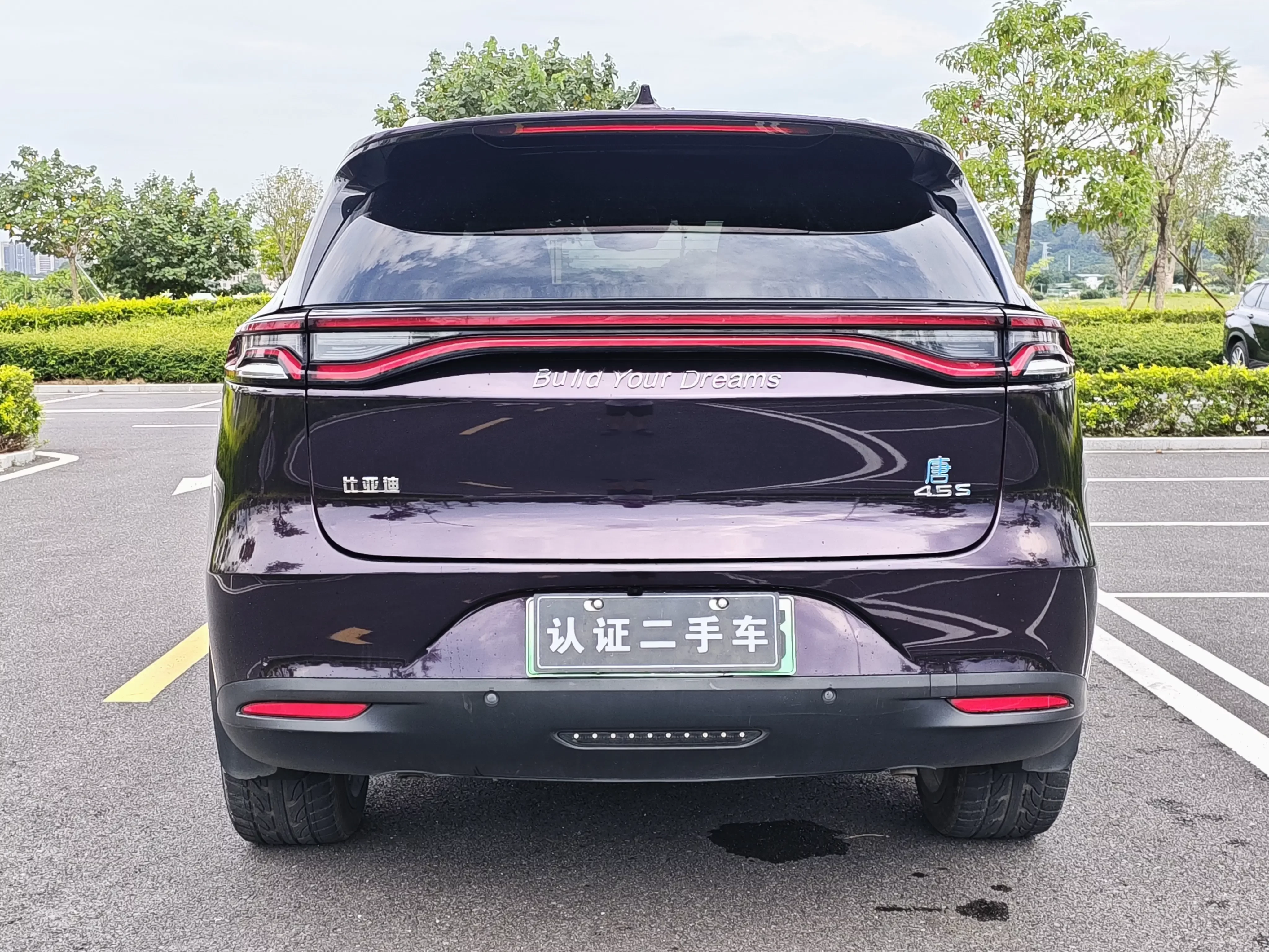 BYD Tang DM