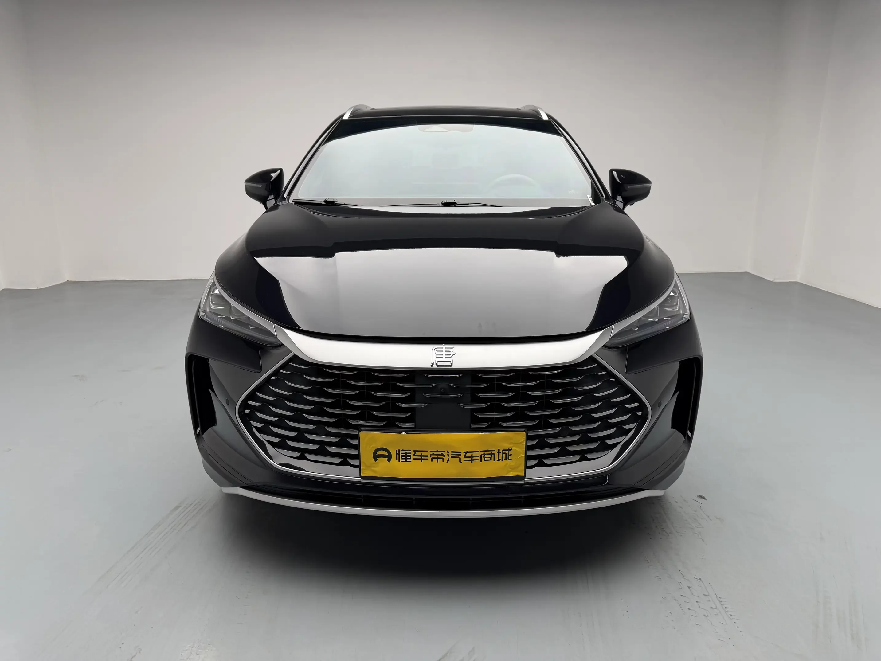 BYD Tang DM