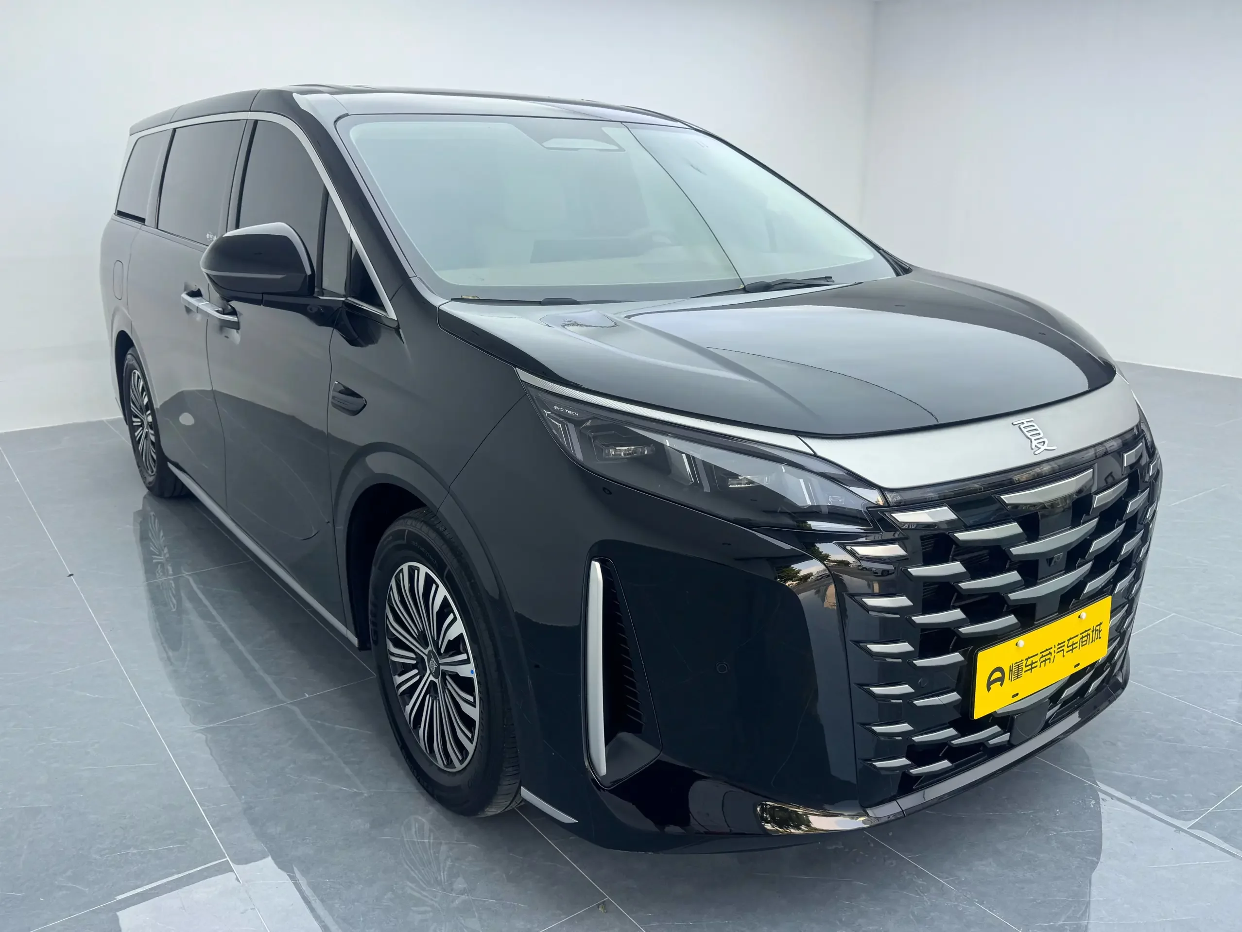 BYD summer