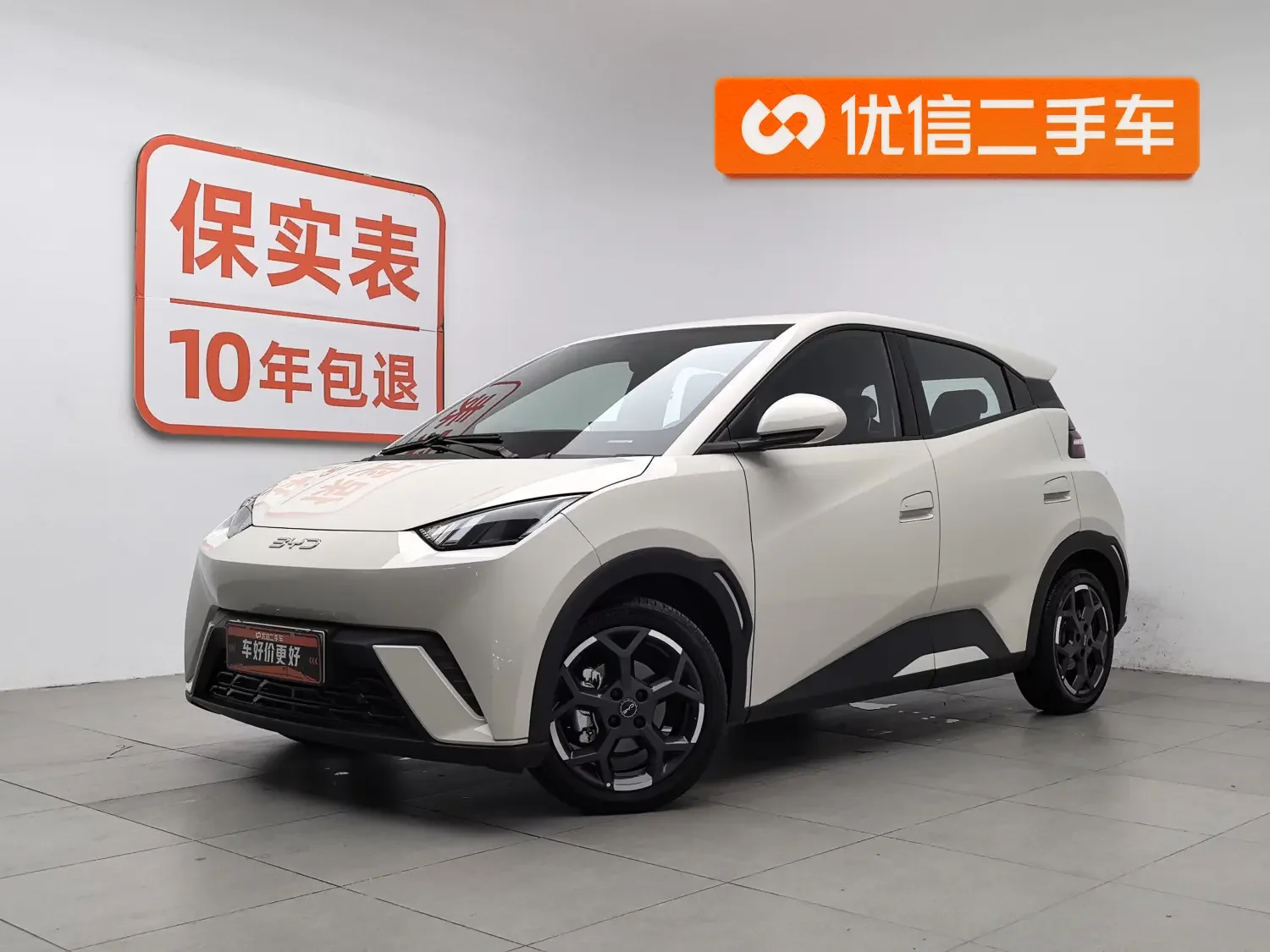BYD seagull