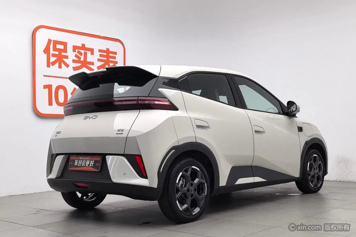 BYD seagull