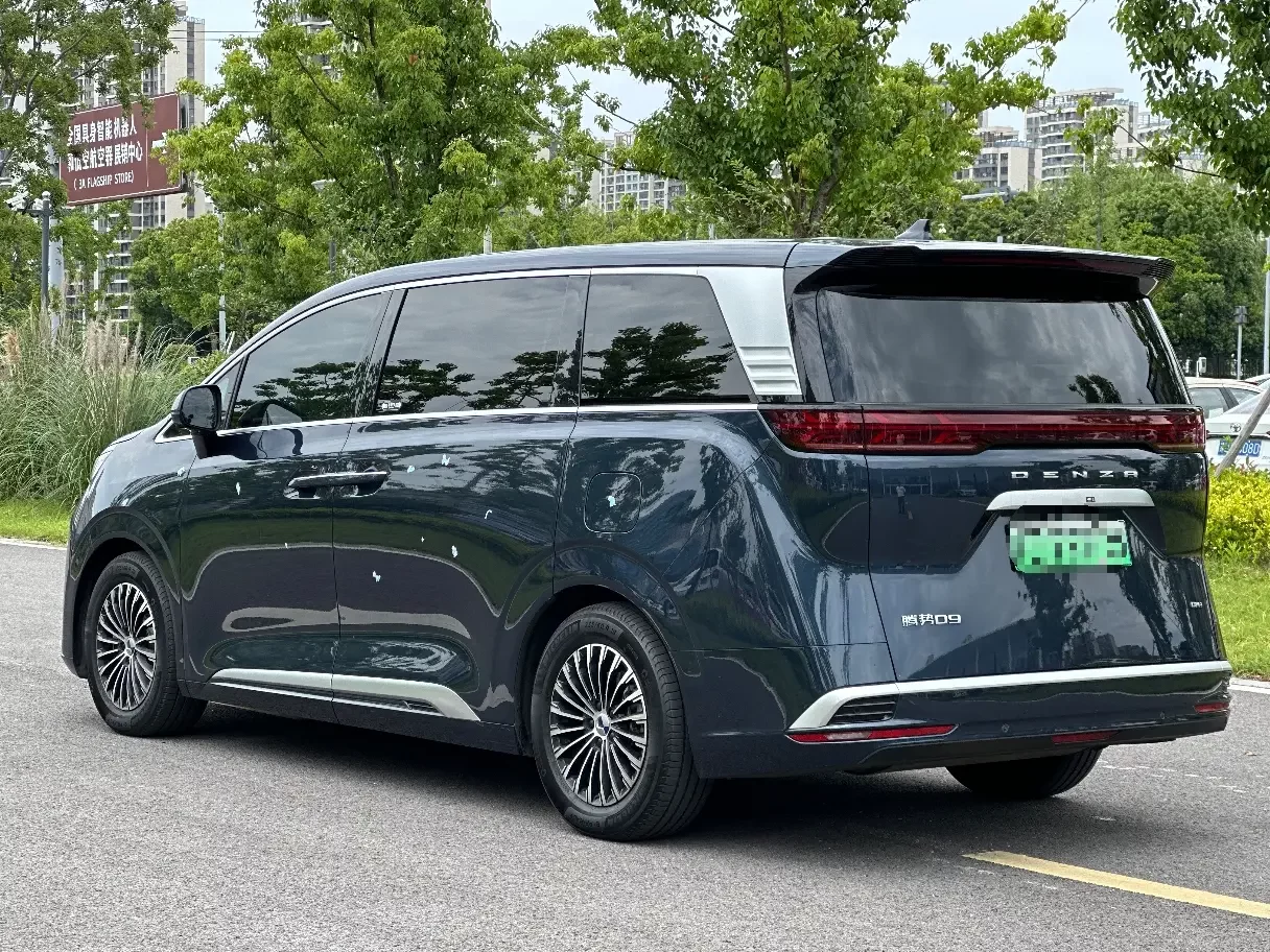 Denza D9 DM