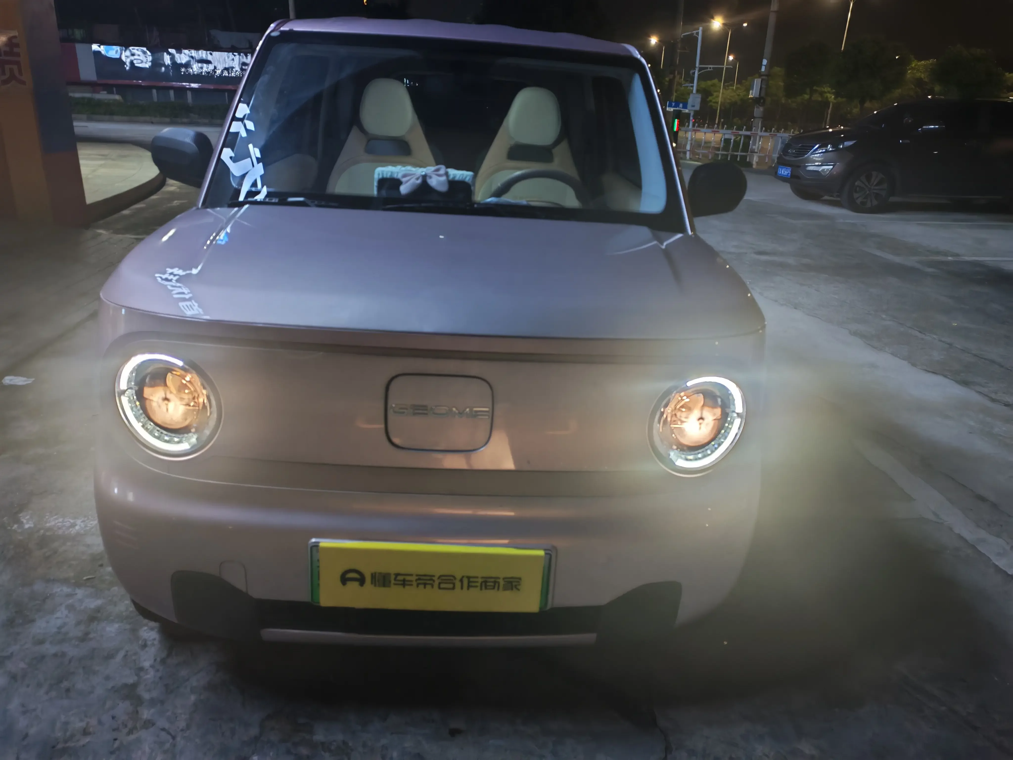 Geely panda