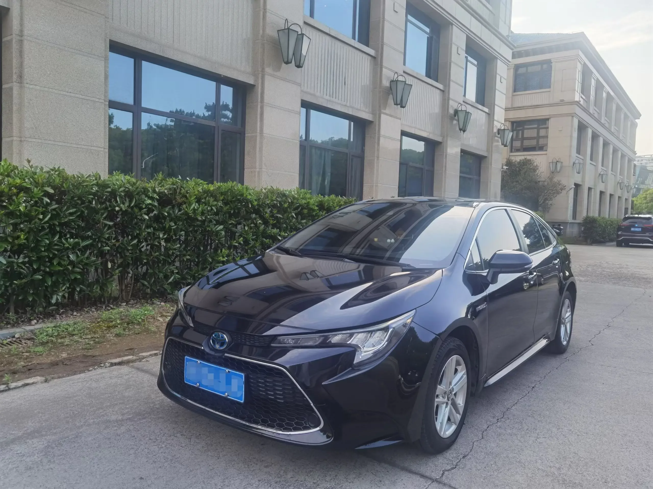 Toyota Levin