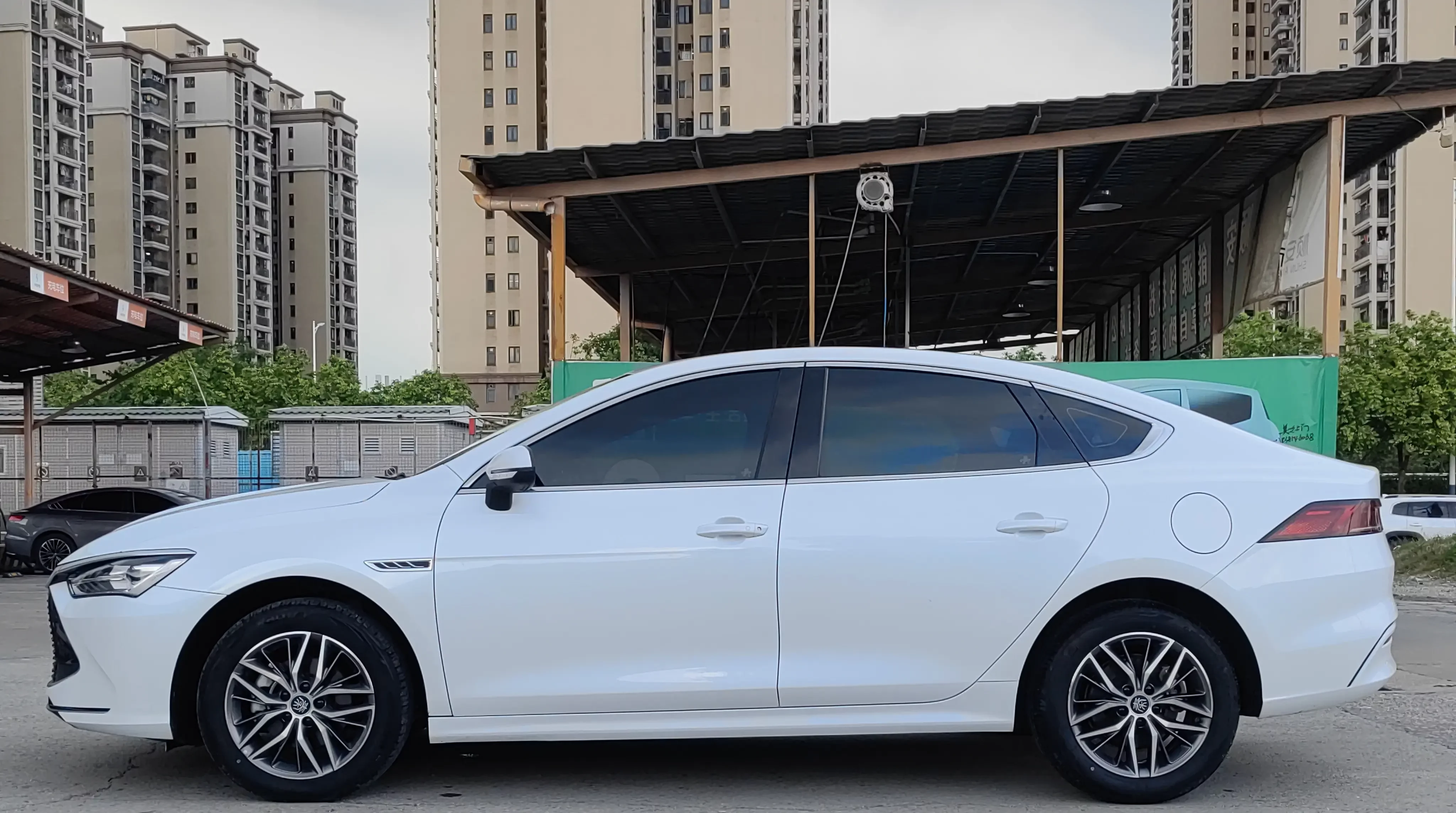 BYD Qin PLUS DM