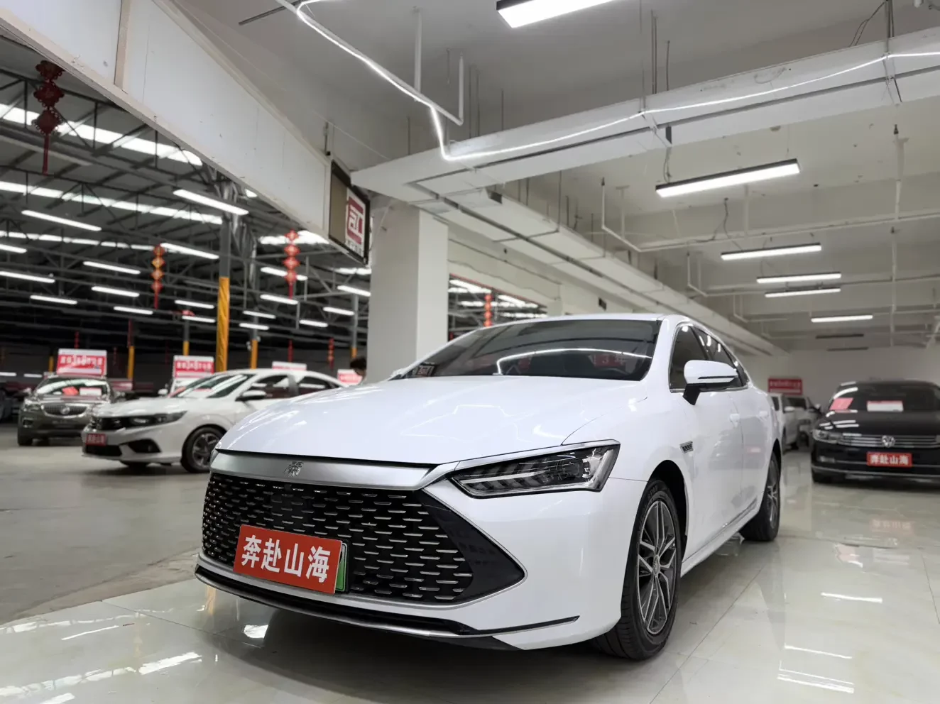 BYD Qin PLUS DM