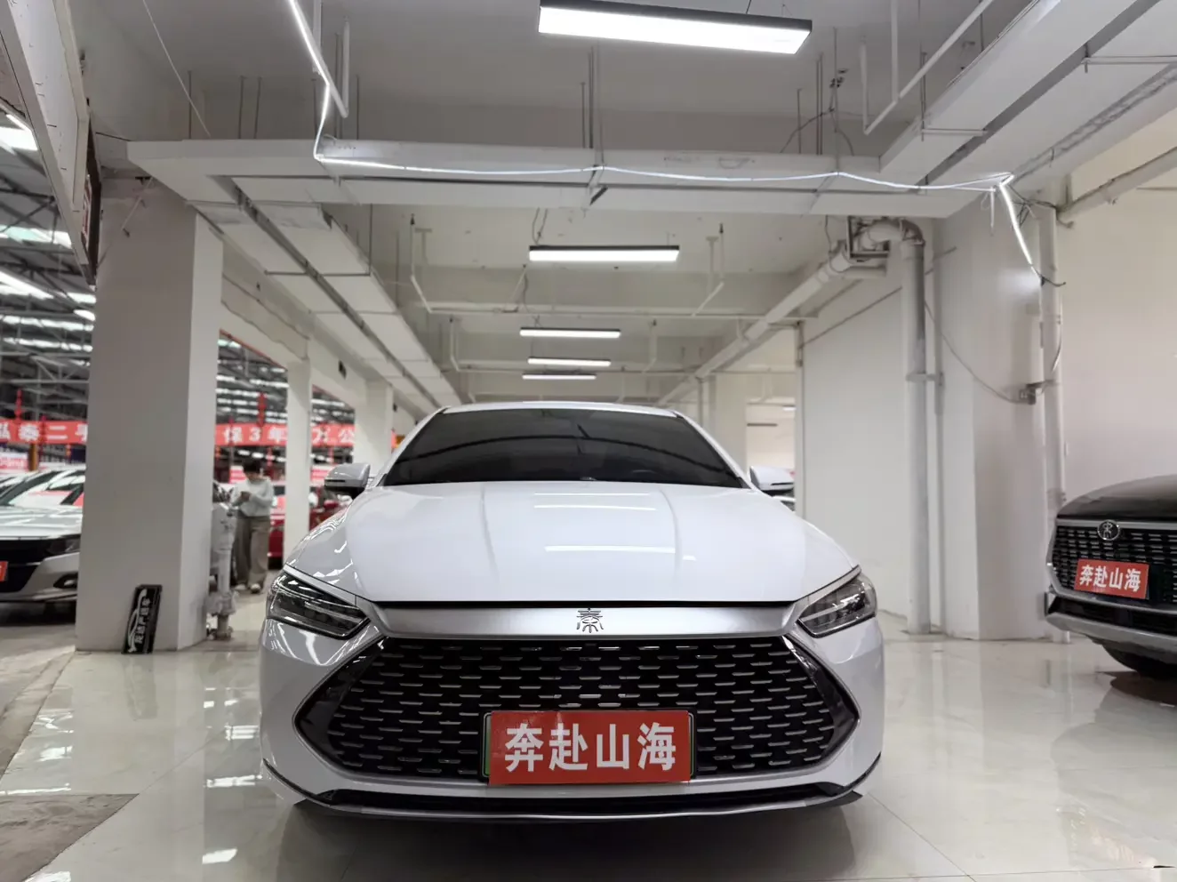 BYD Qin PLUS DM