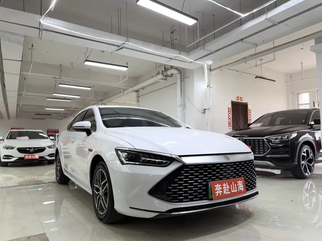 BYD Qin PLUS DM