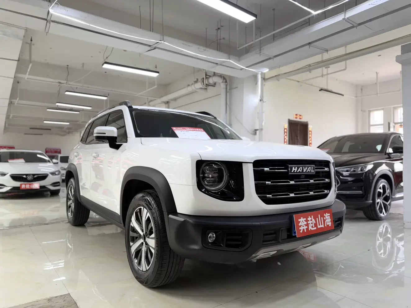 Haval Dargo