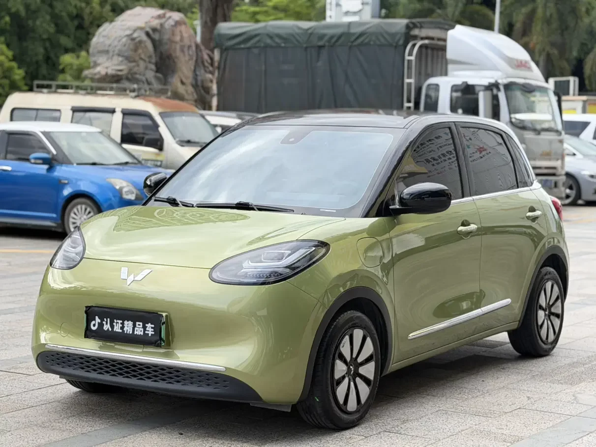 Wuling Bingo