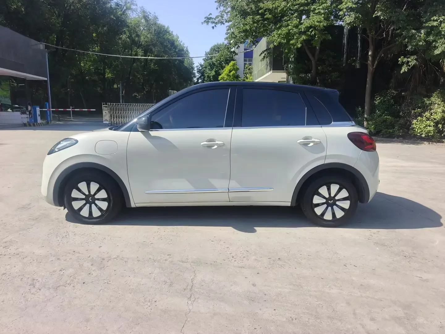 Wuling Bingo