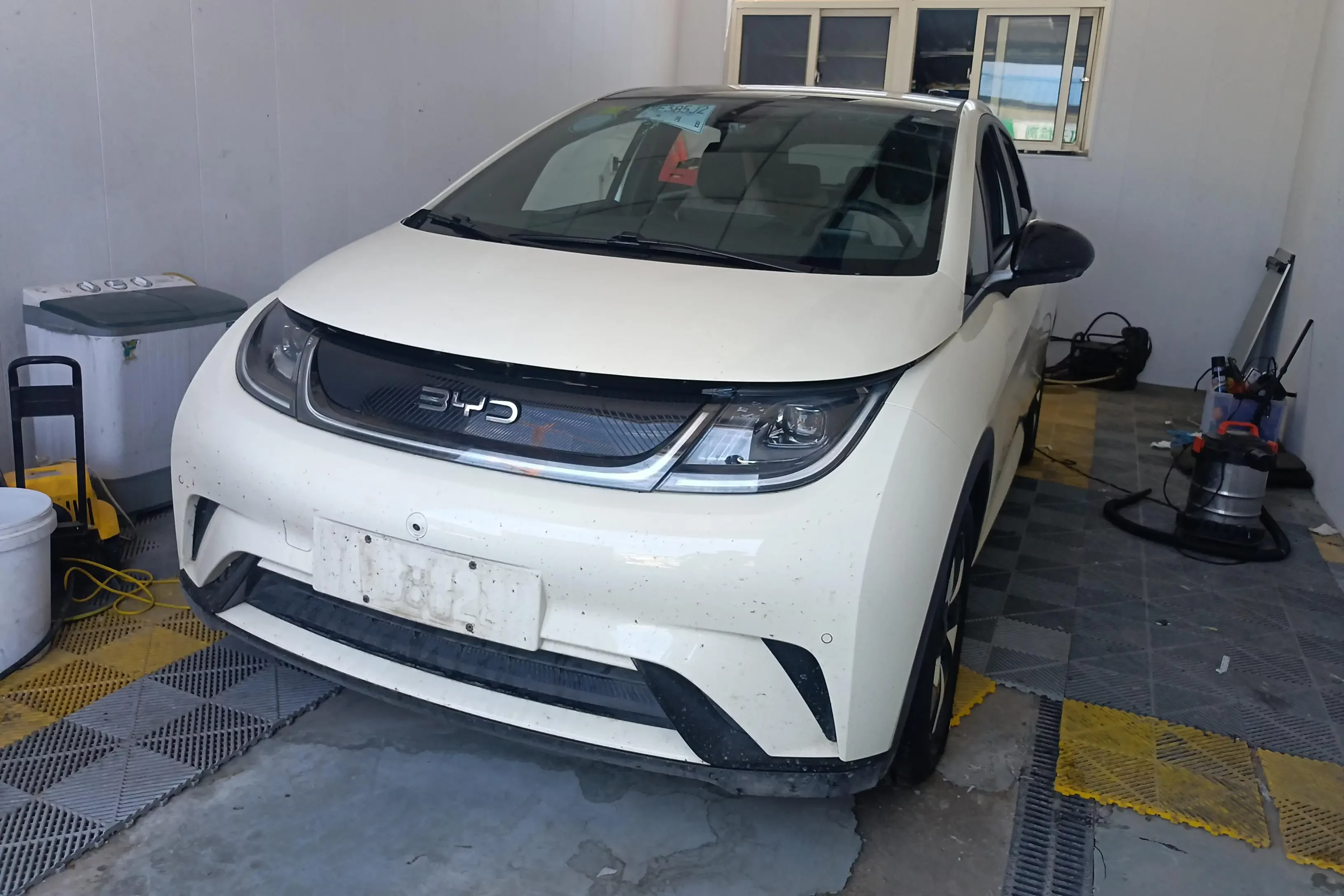 BYD dolphin