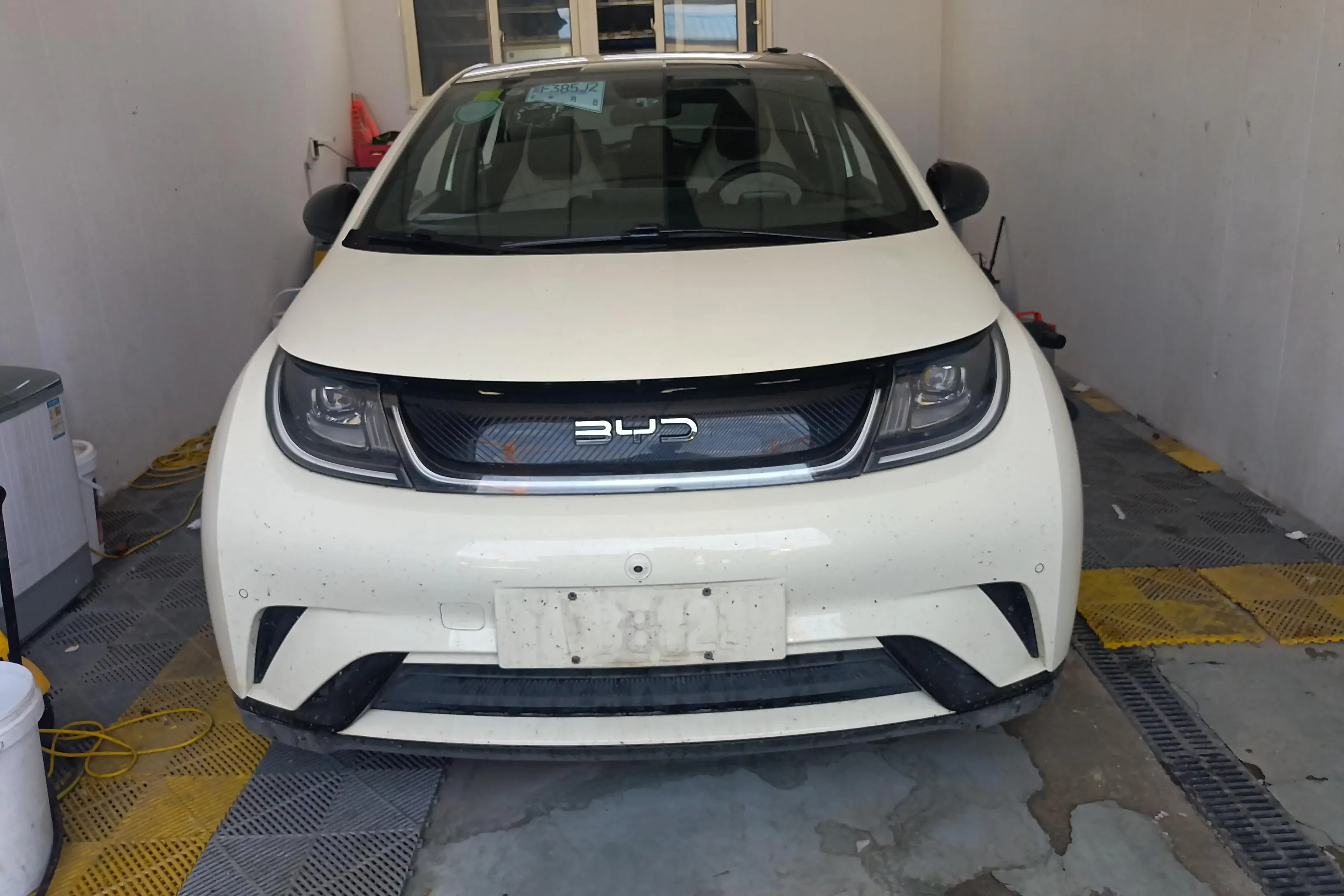 BYD dolphin