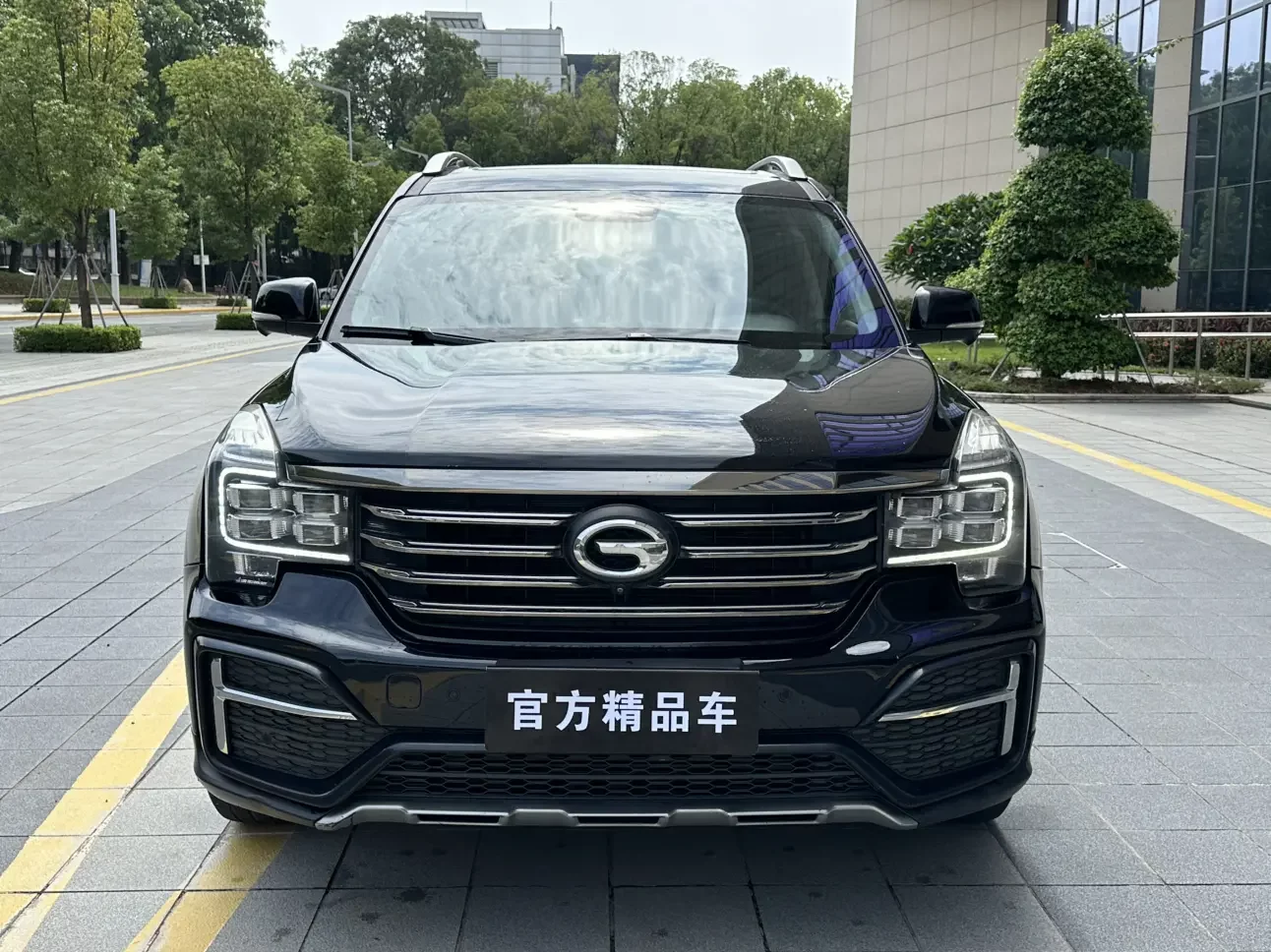 GAC Trumpchi GS8
