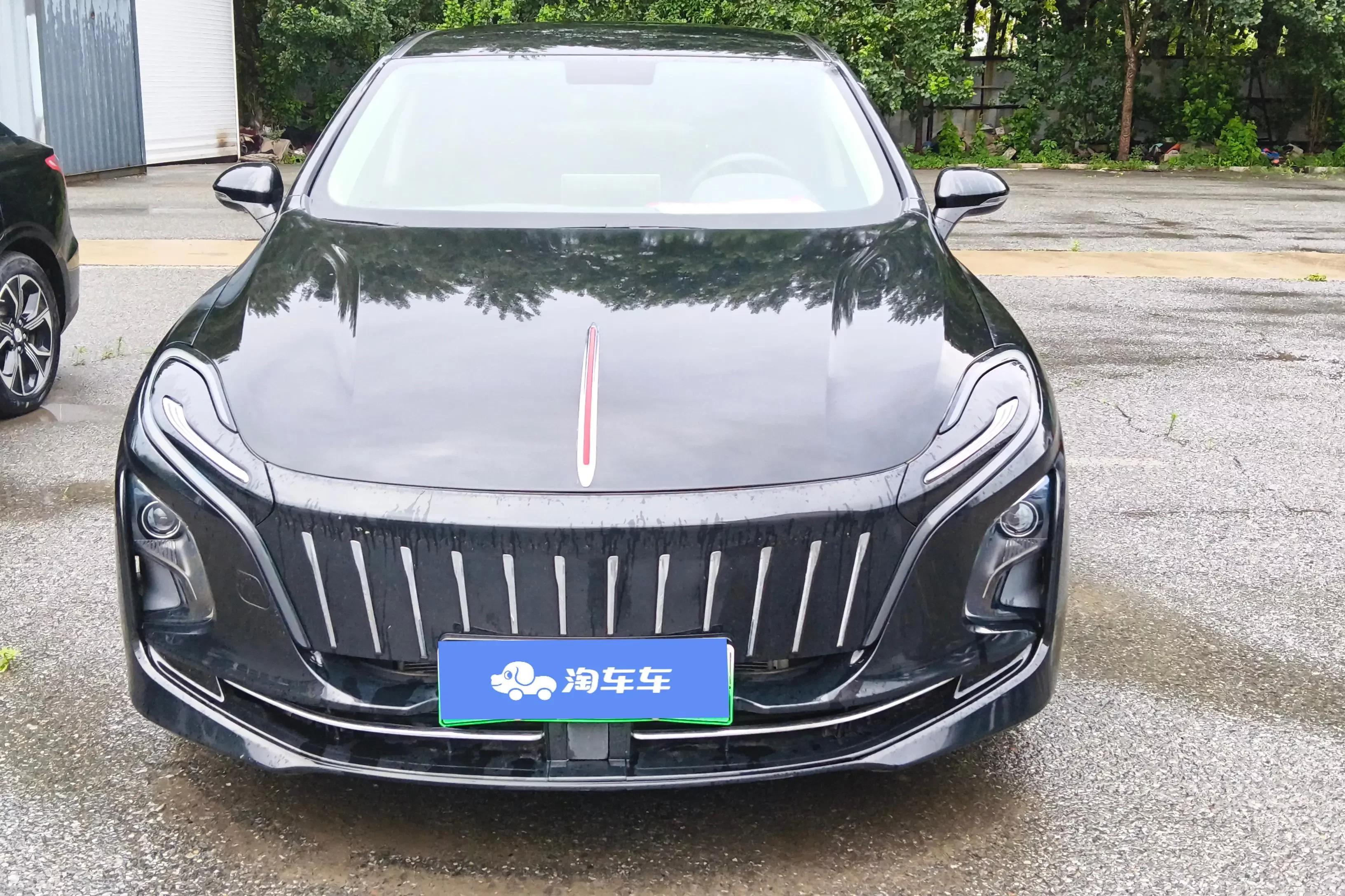 Hongqi E-QM5