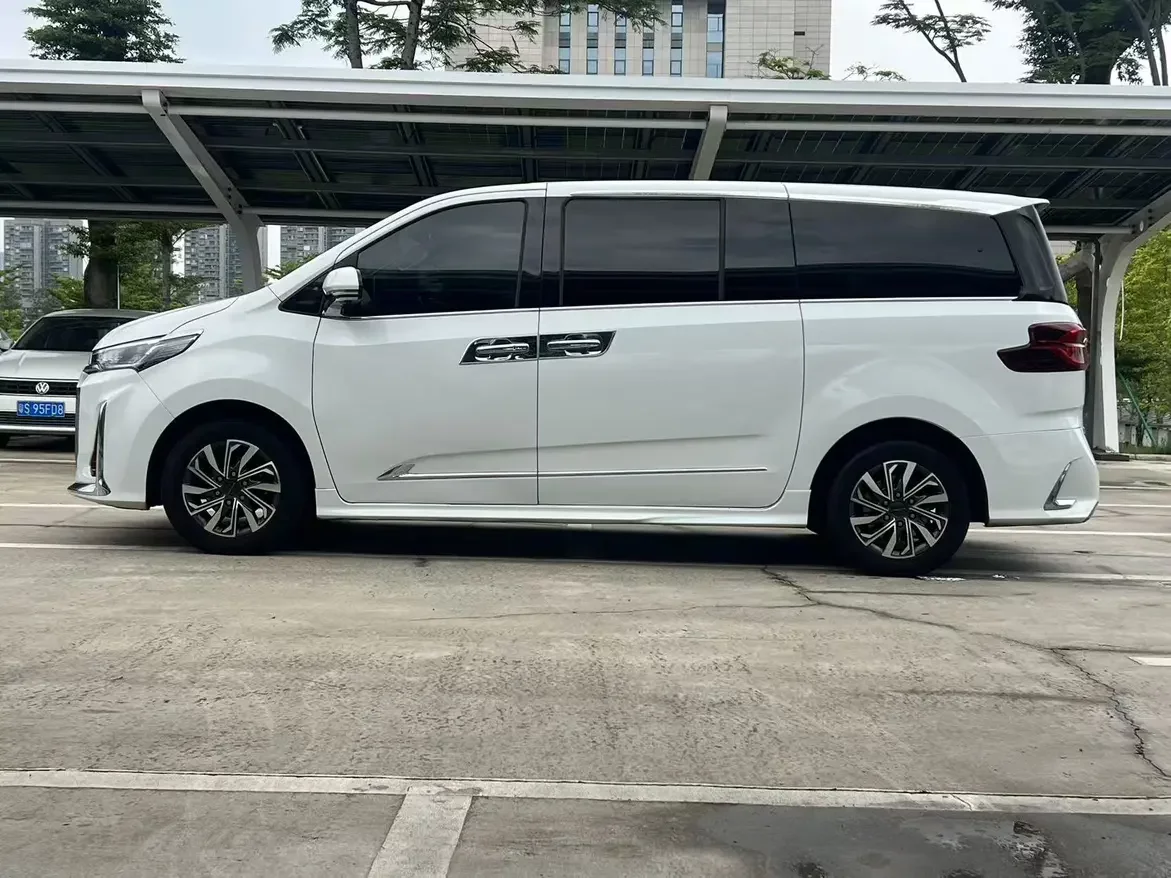 Datong Maxus G20