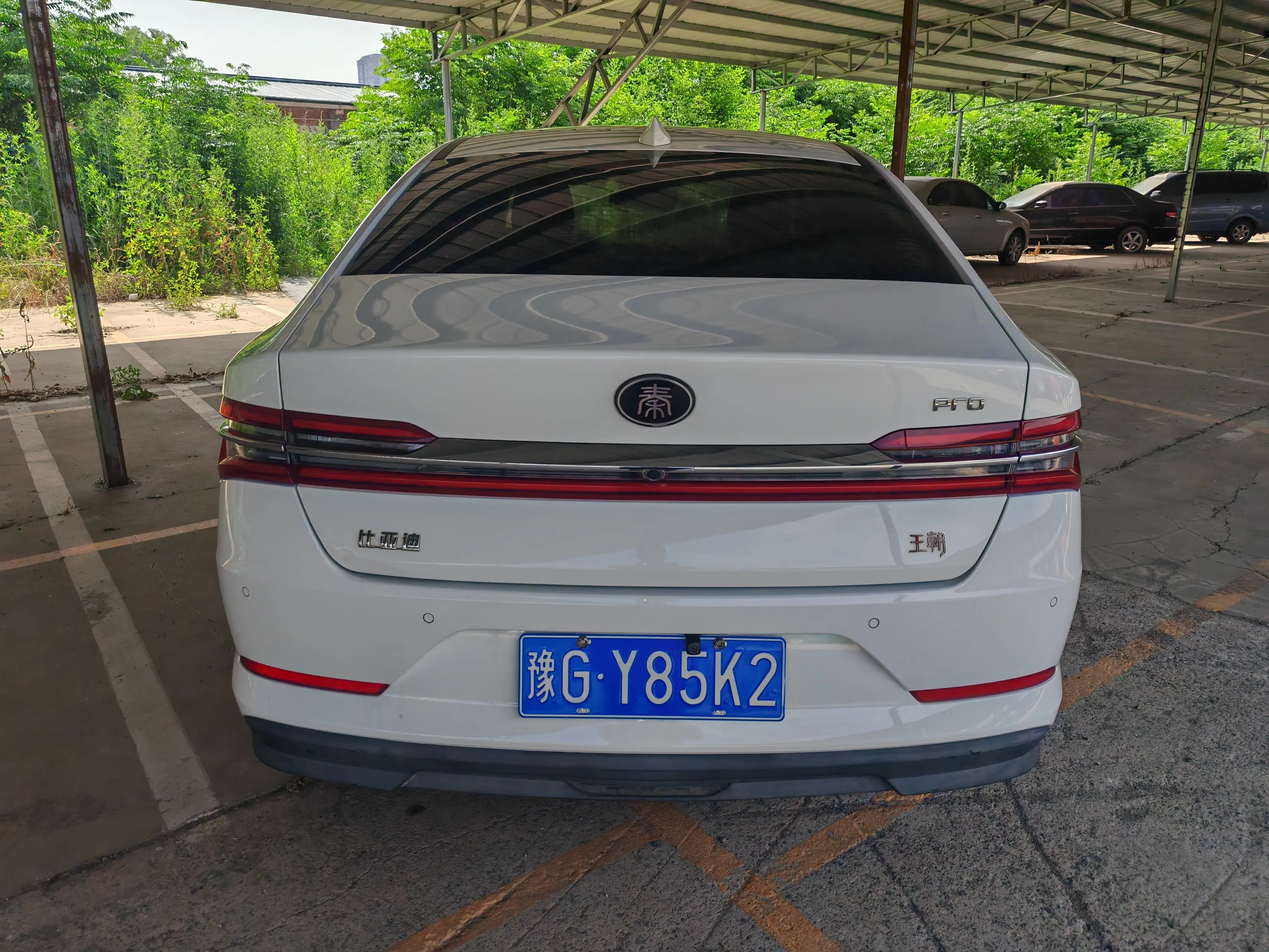 BYD Qin Pro