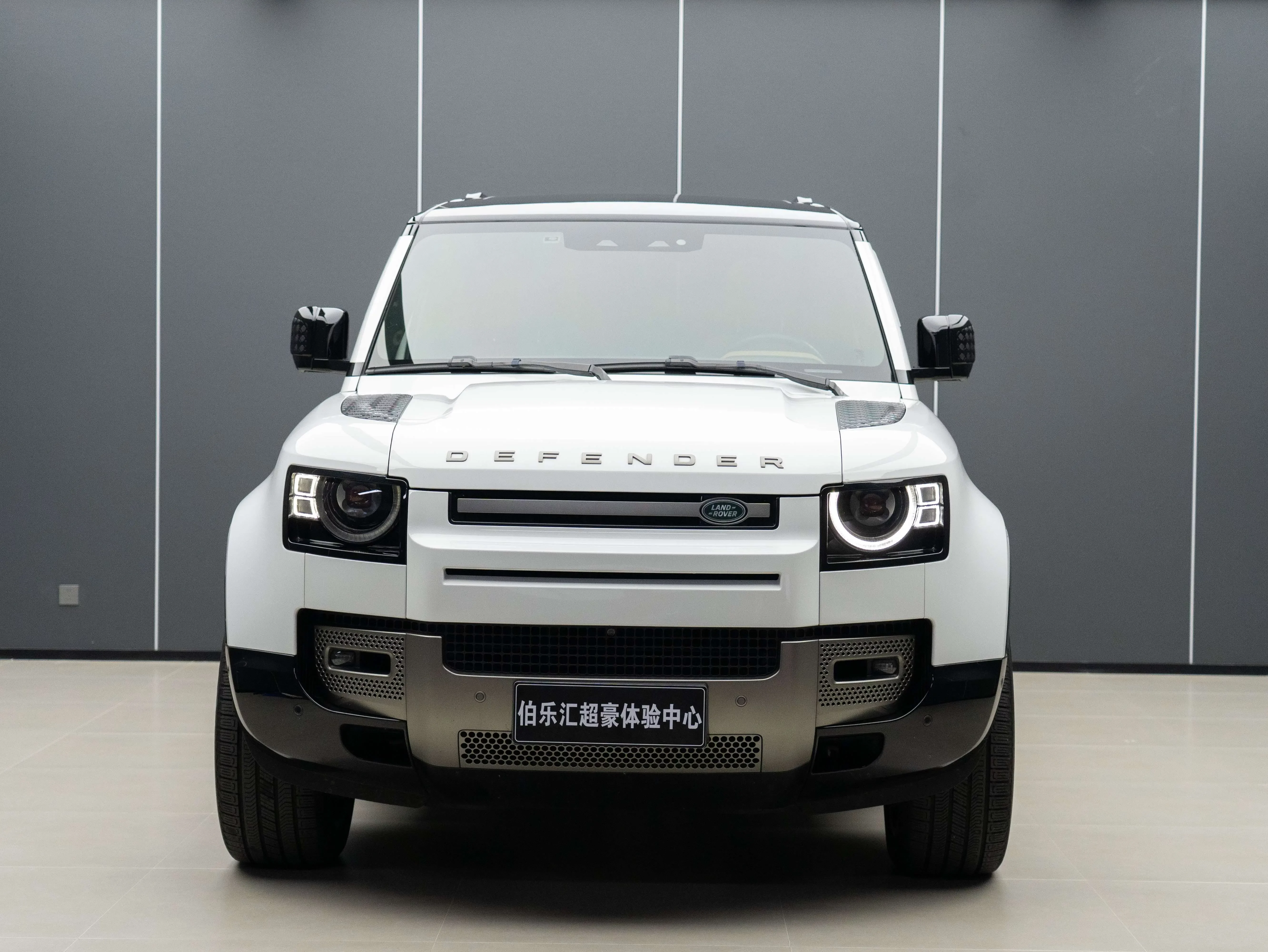 Land Rover guard