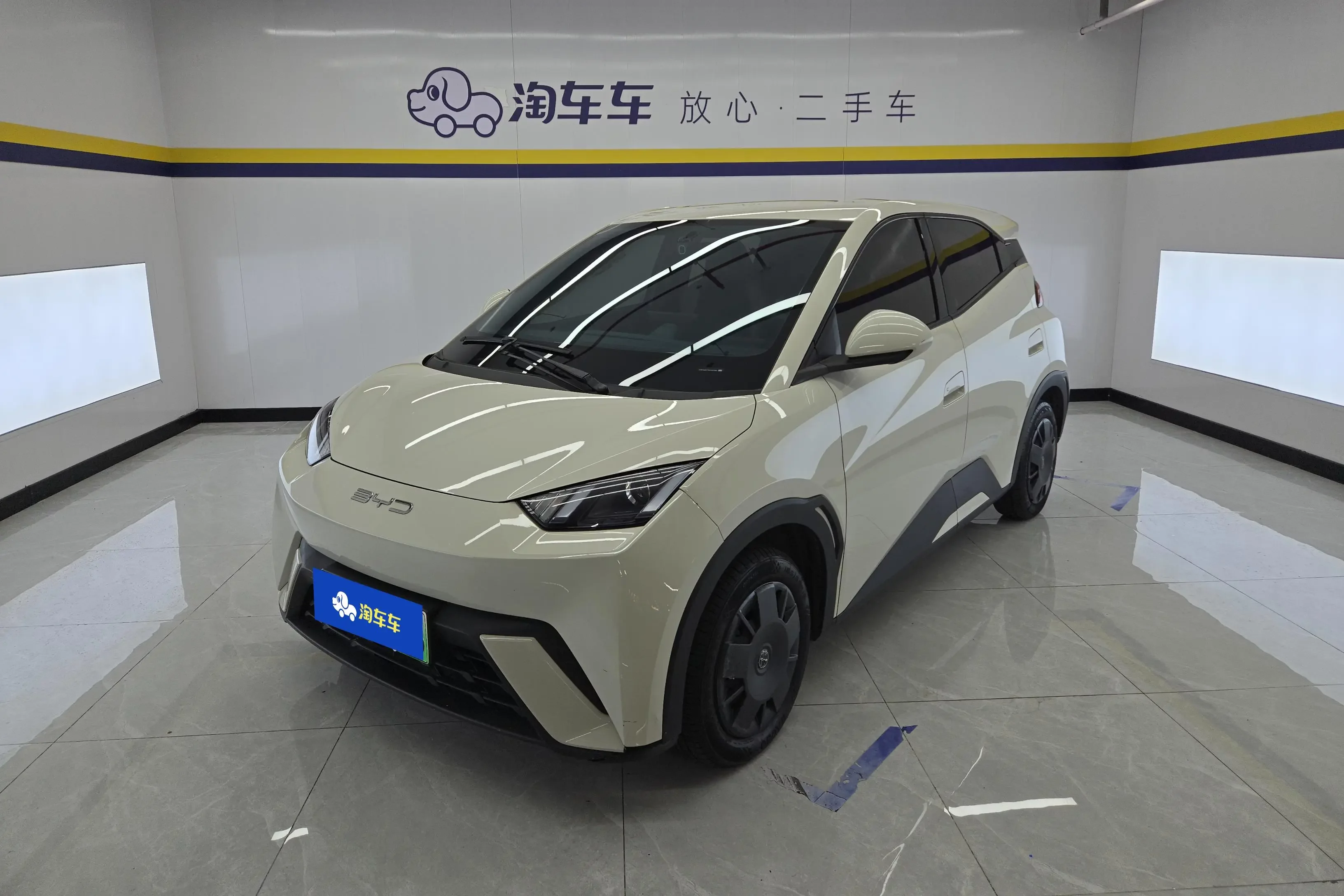 BYD seagull