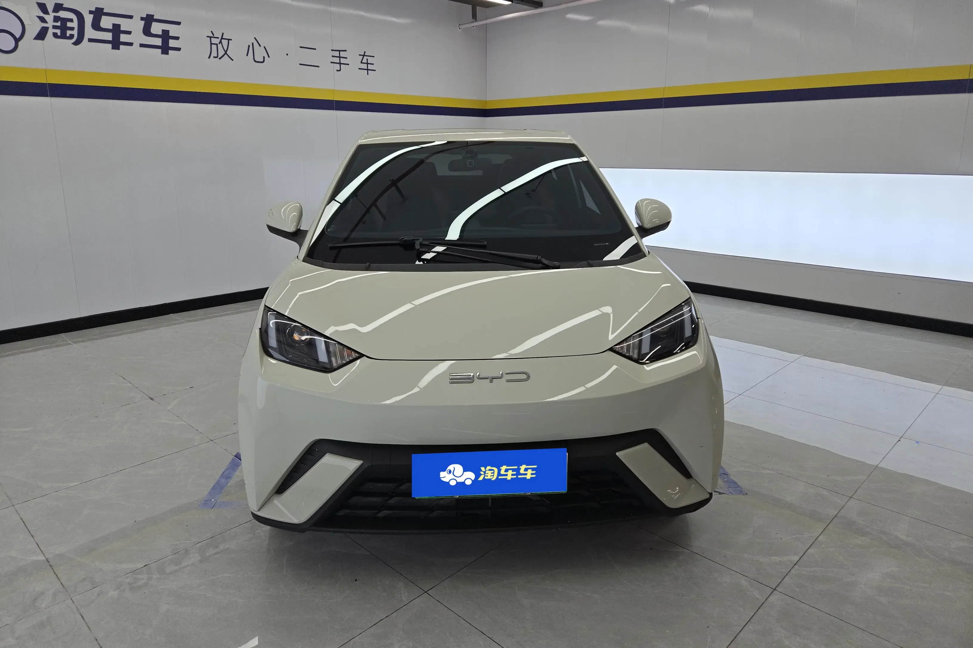 BYD seagull