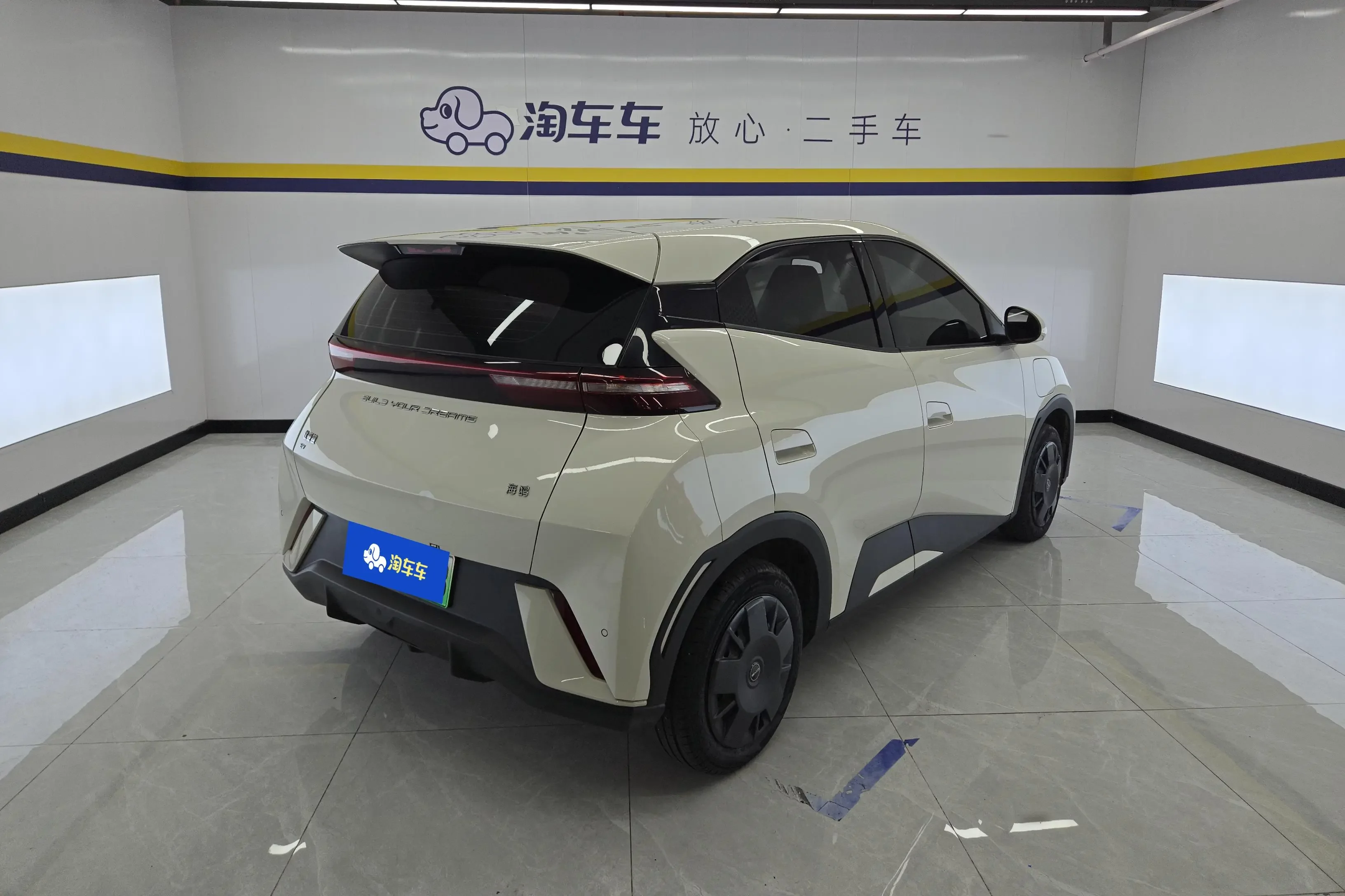 BYD seagull