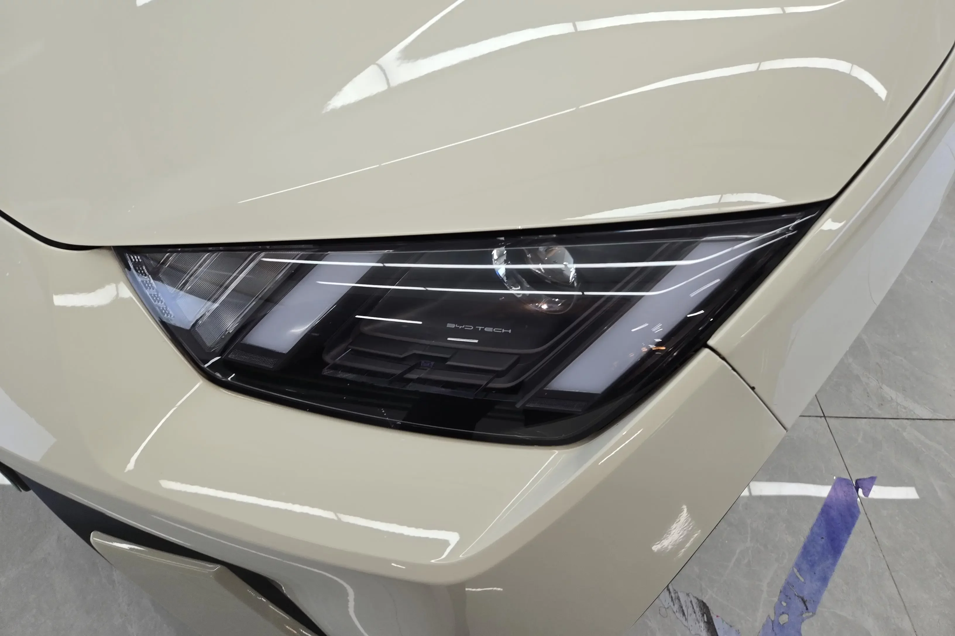 BYD seagull