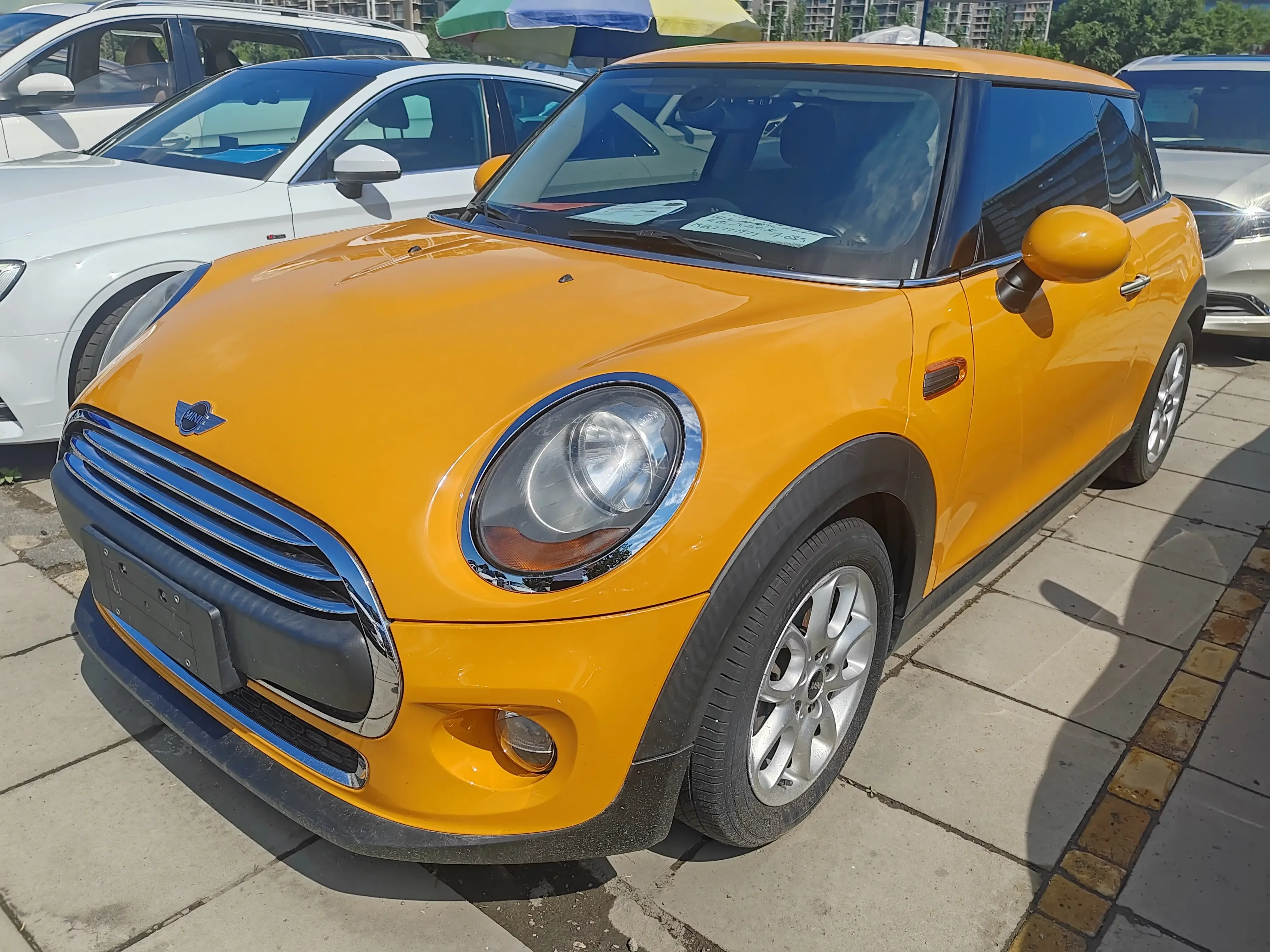 MINI 