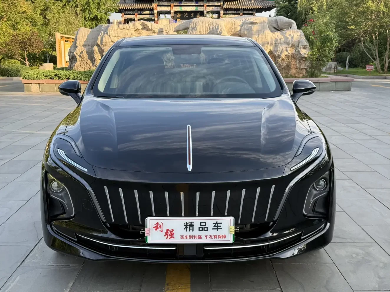 Hongqi E-QM5