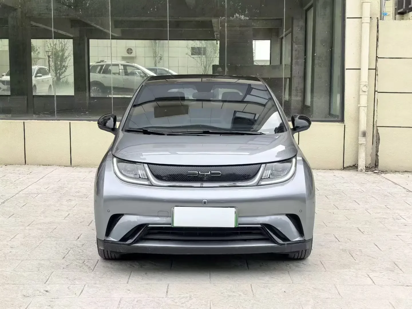 BYD dolphin