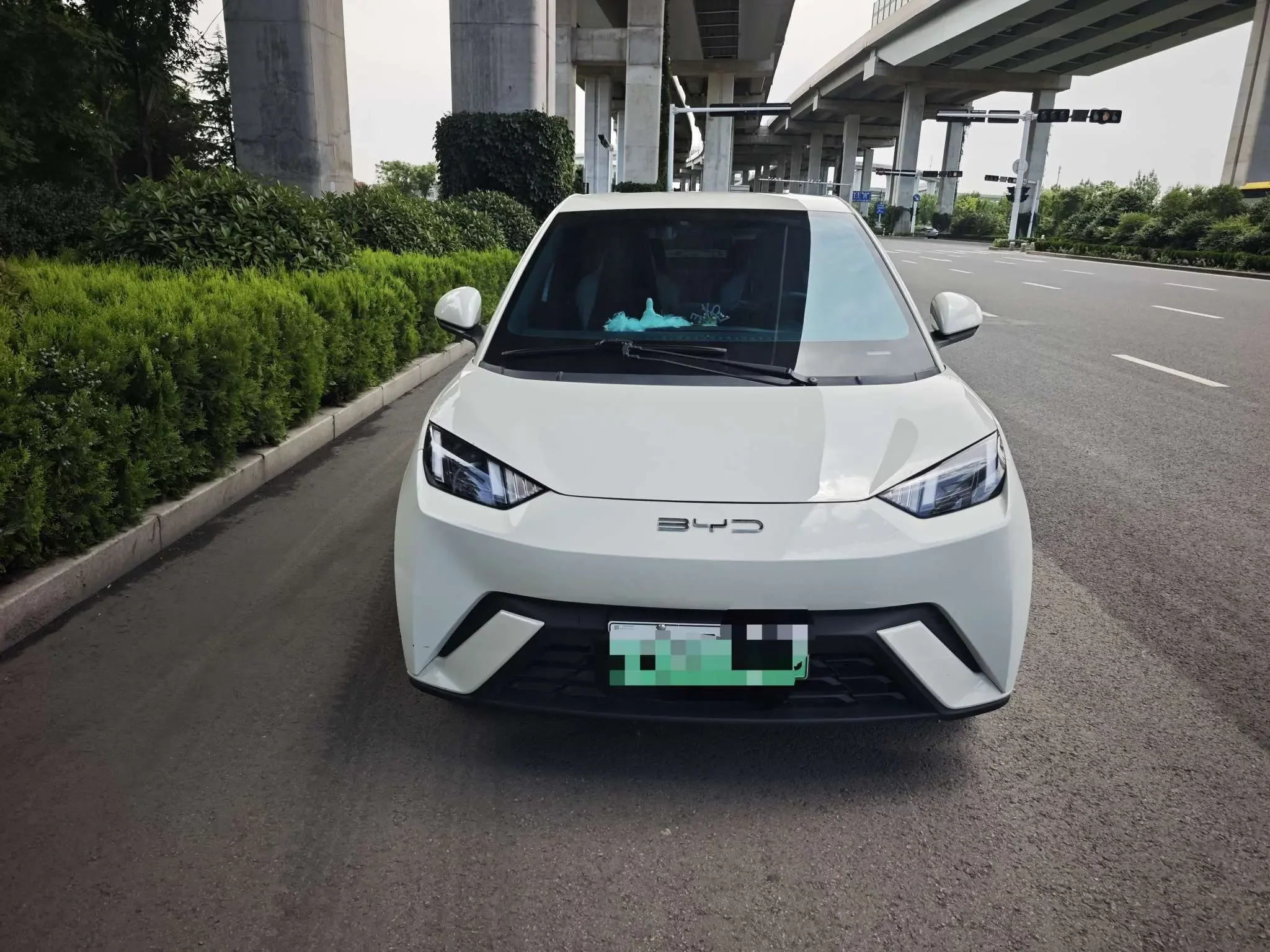 BYD seagull