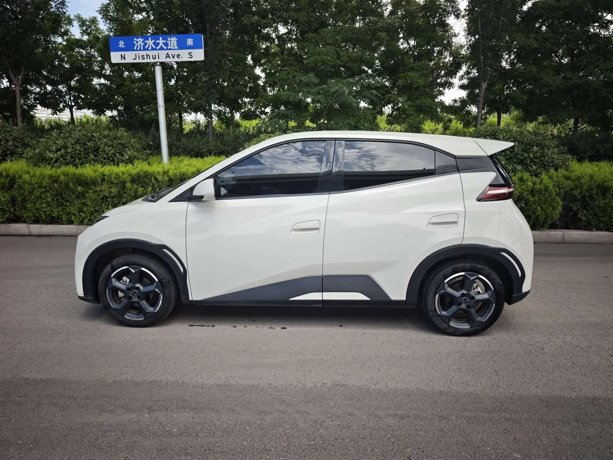 BYD seagull