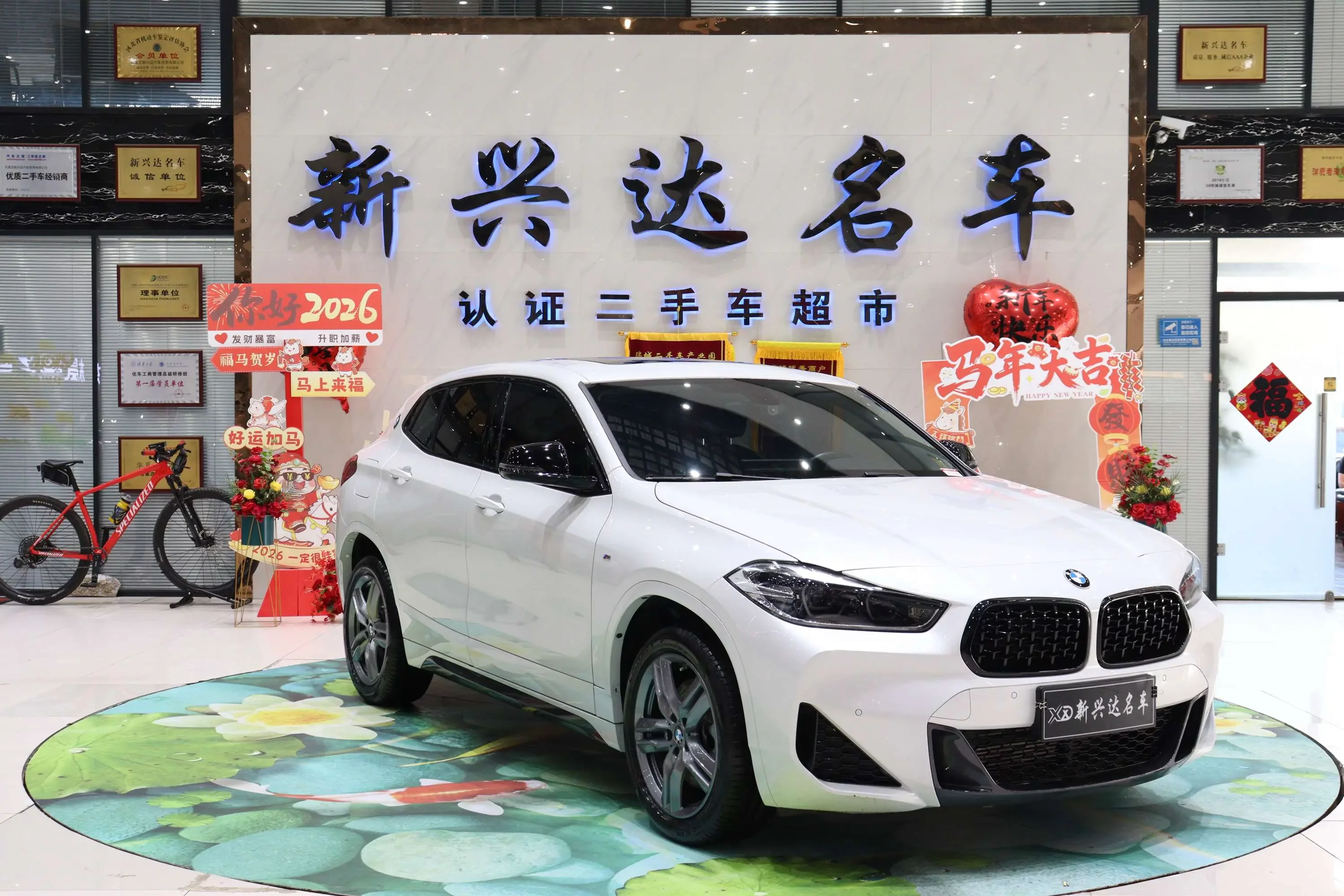 BMW X2