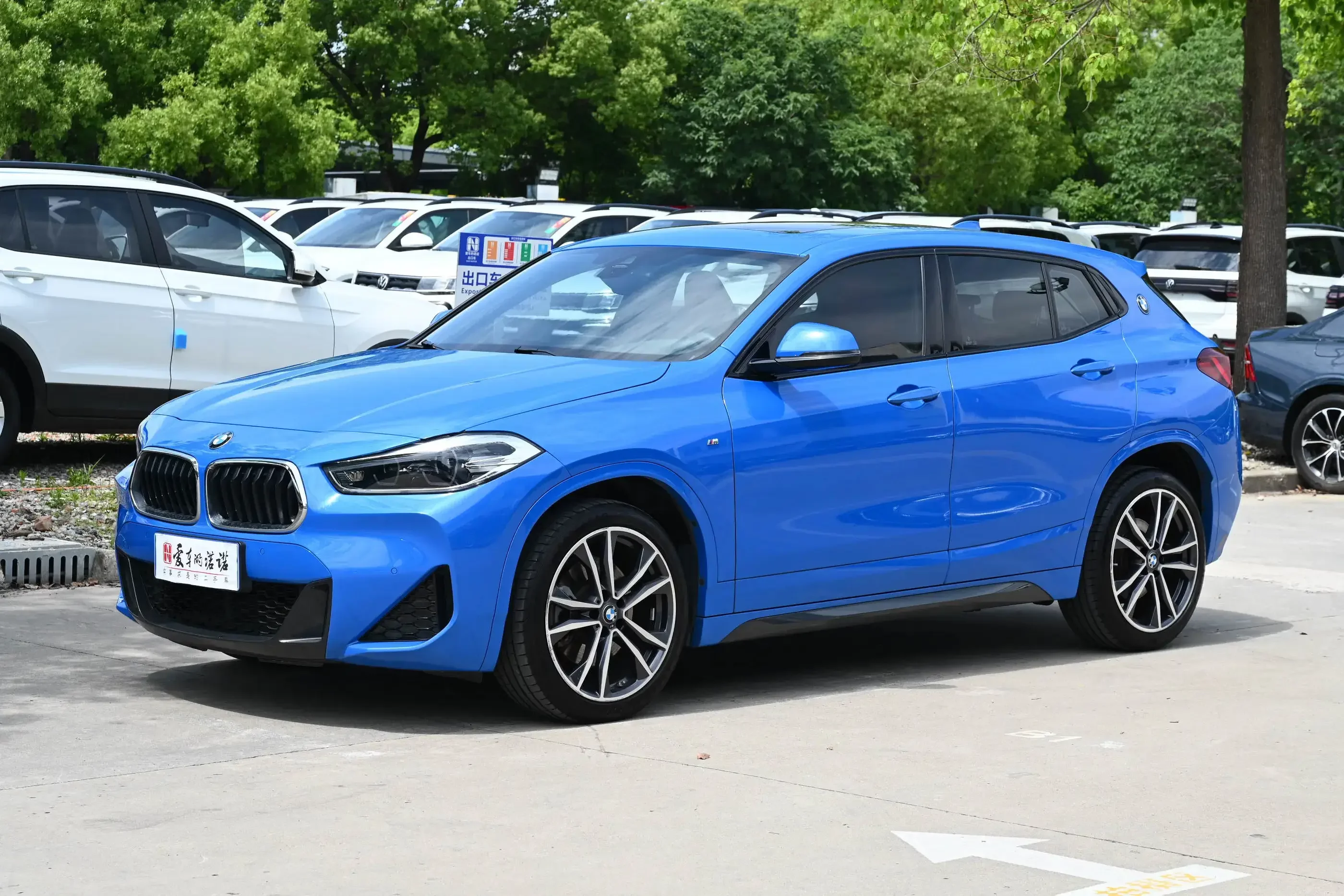BMW X2
