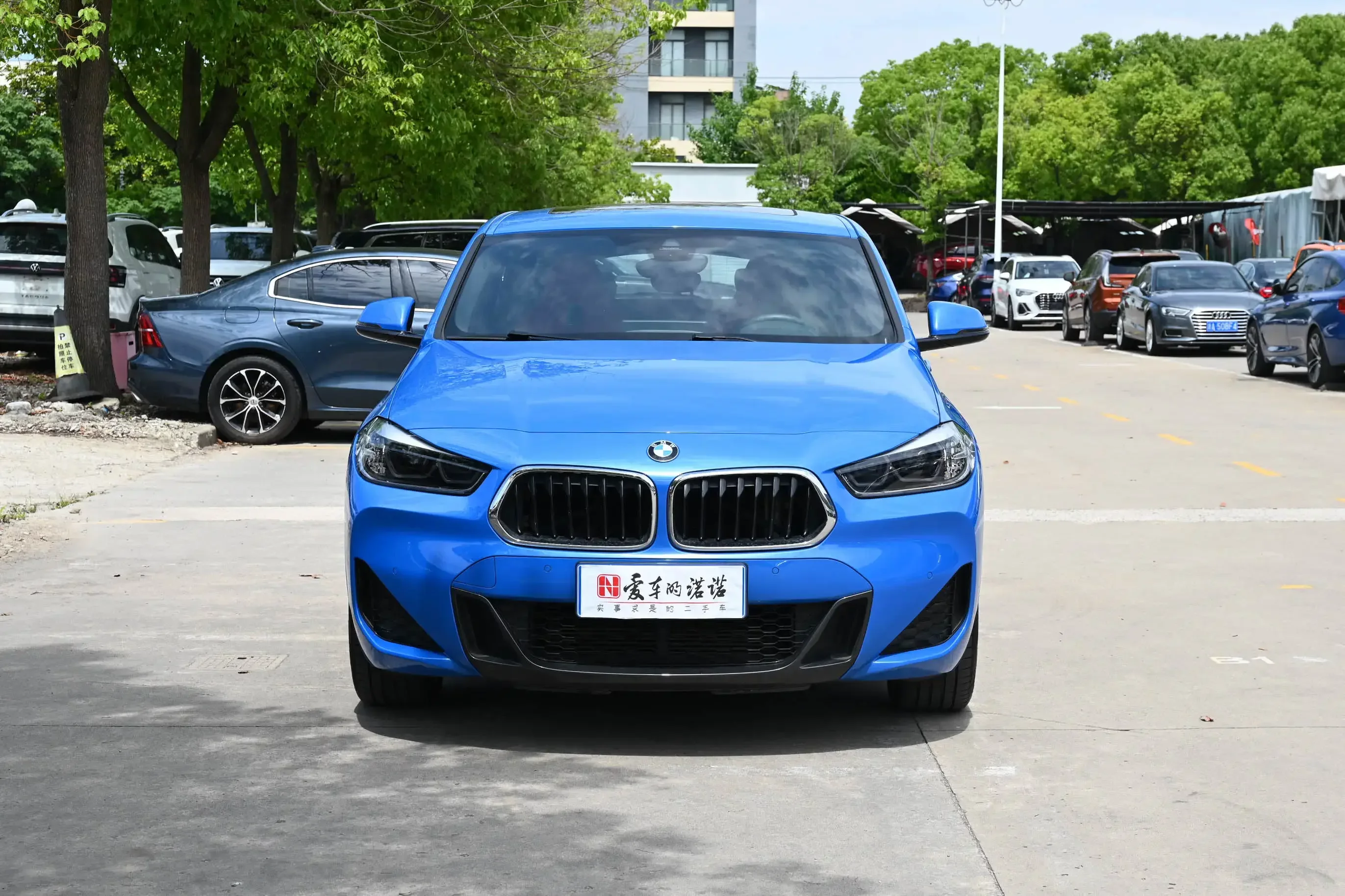 BMW X2