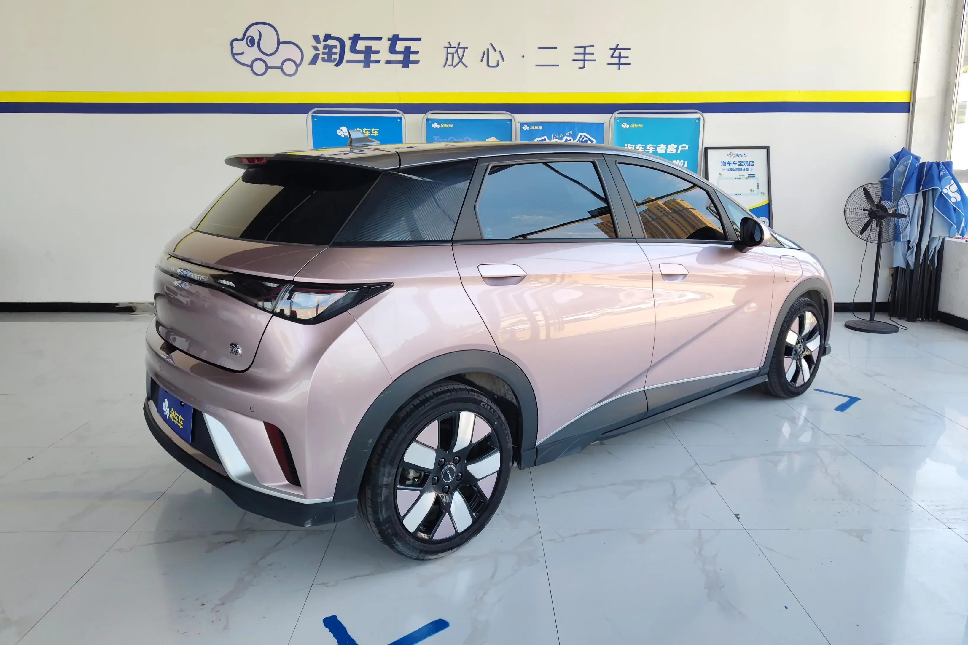 BYD dolphin