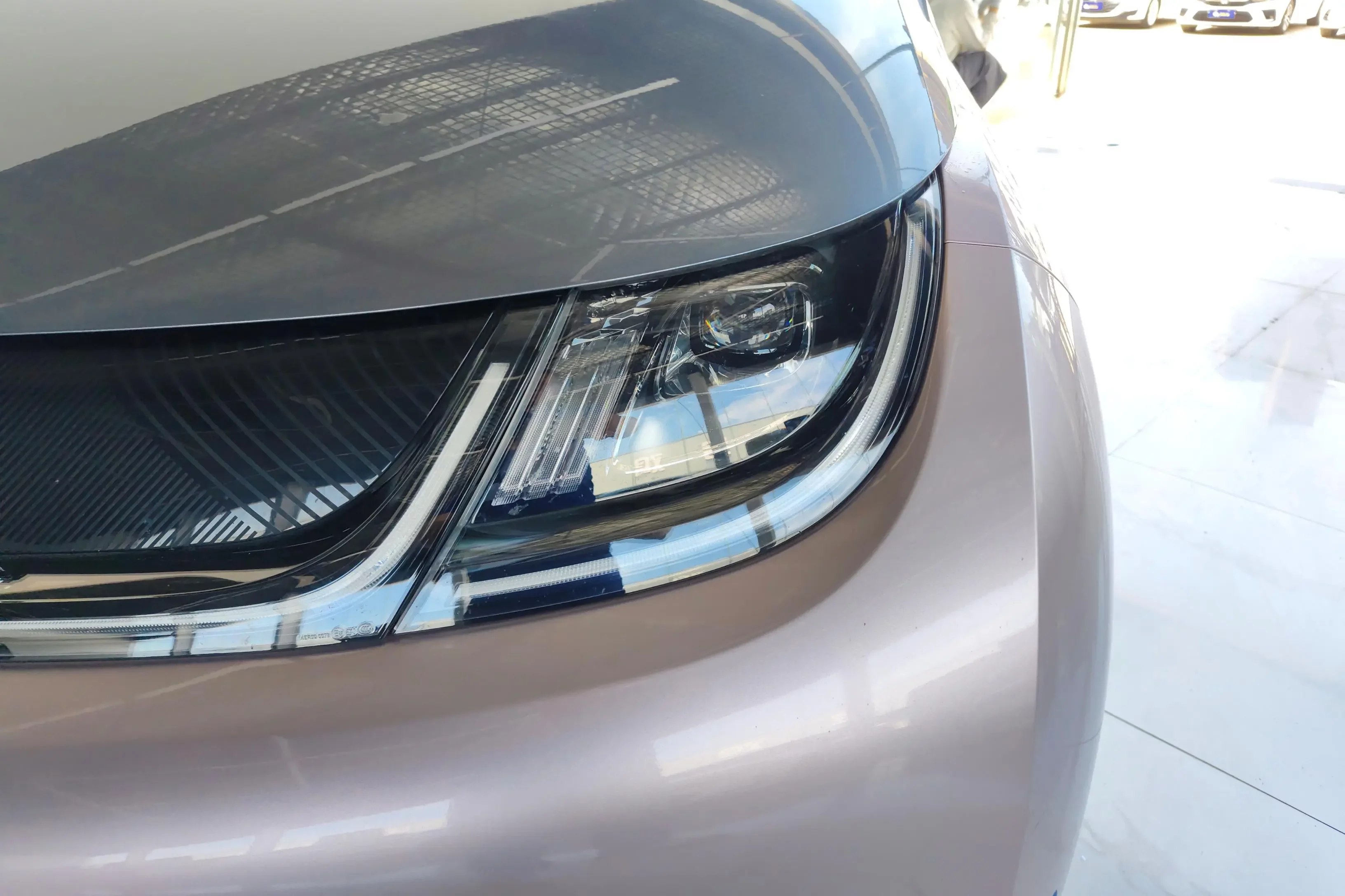 BYD dolphin