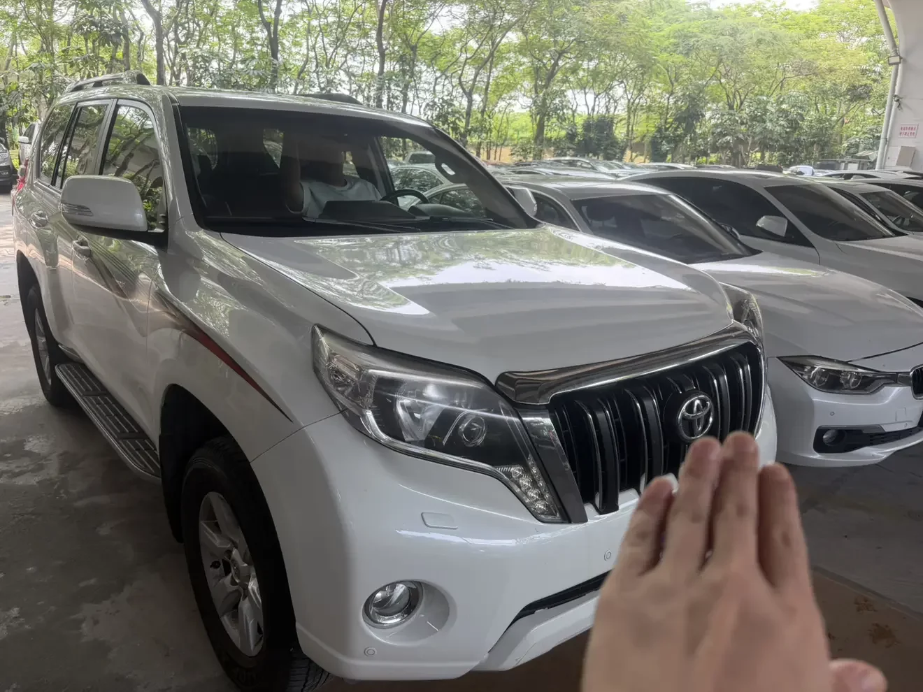 Toyota prado
