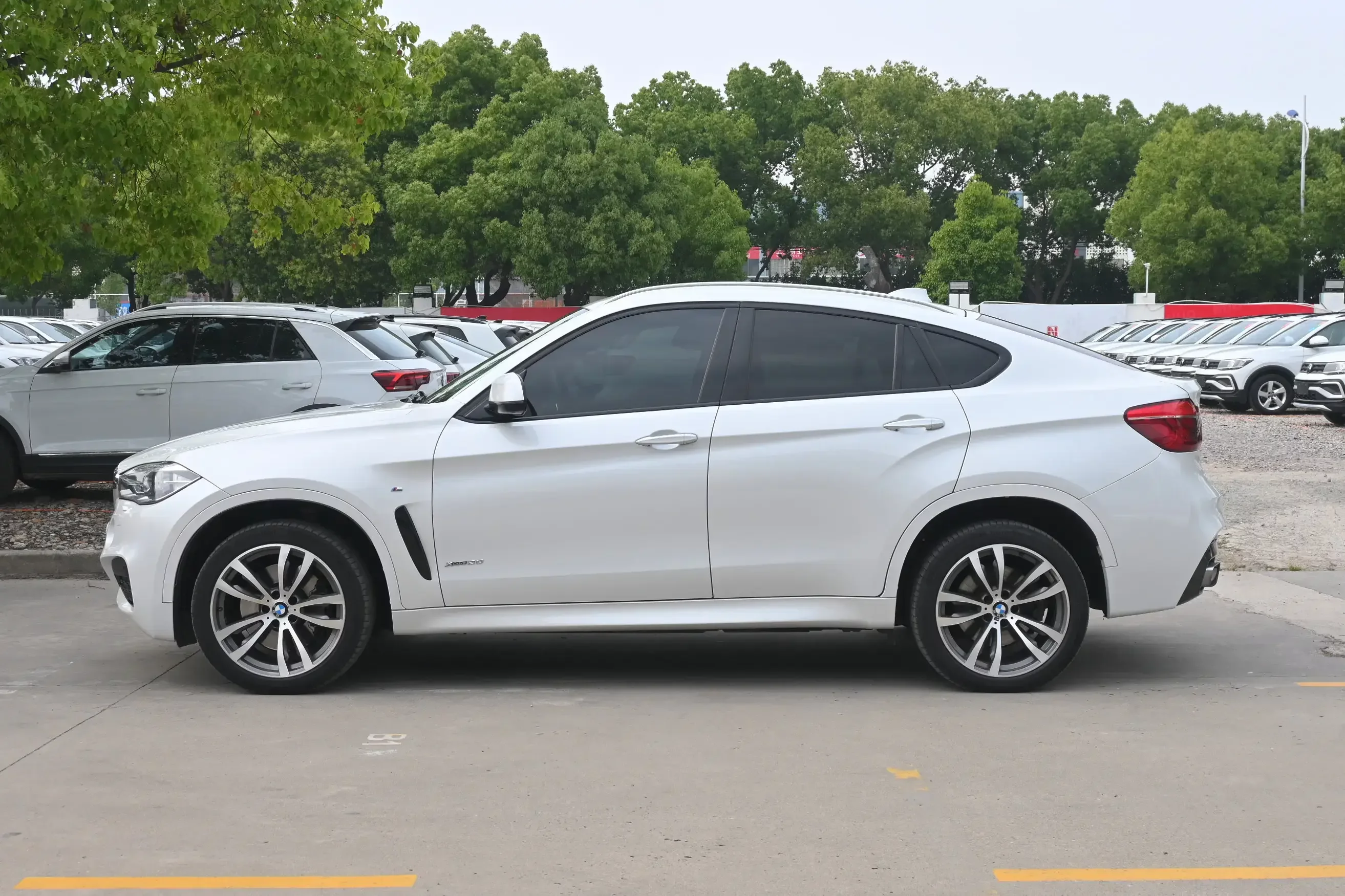 BMW X6