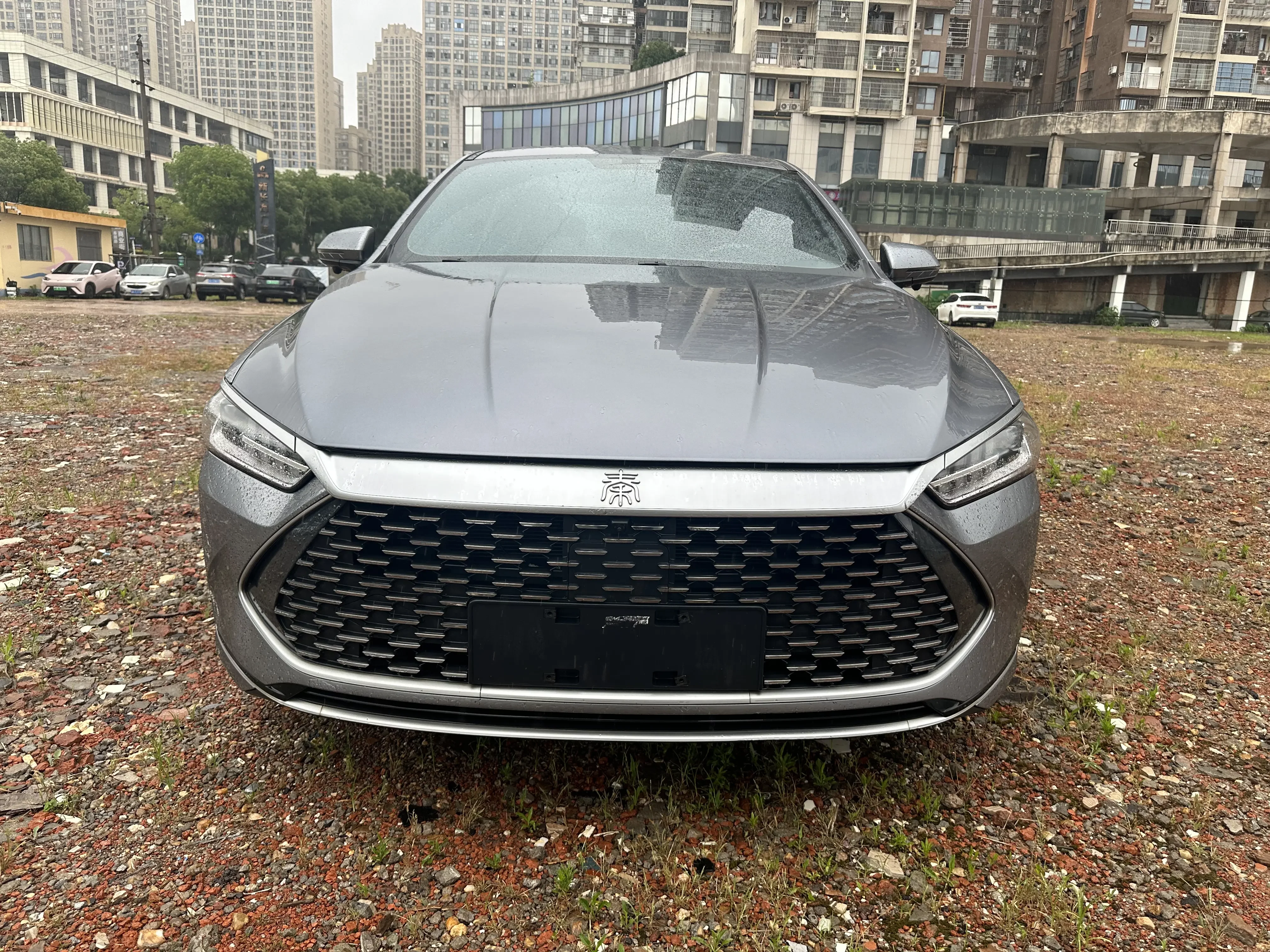 BYD Qin PLUS DM